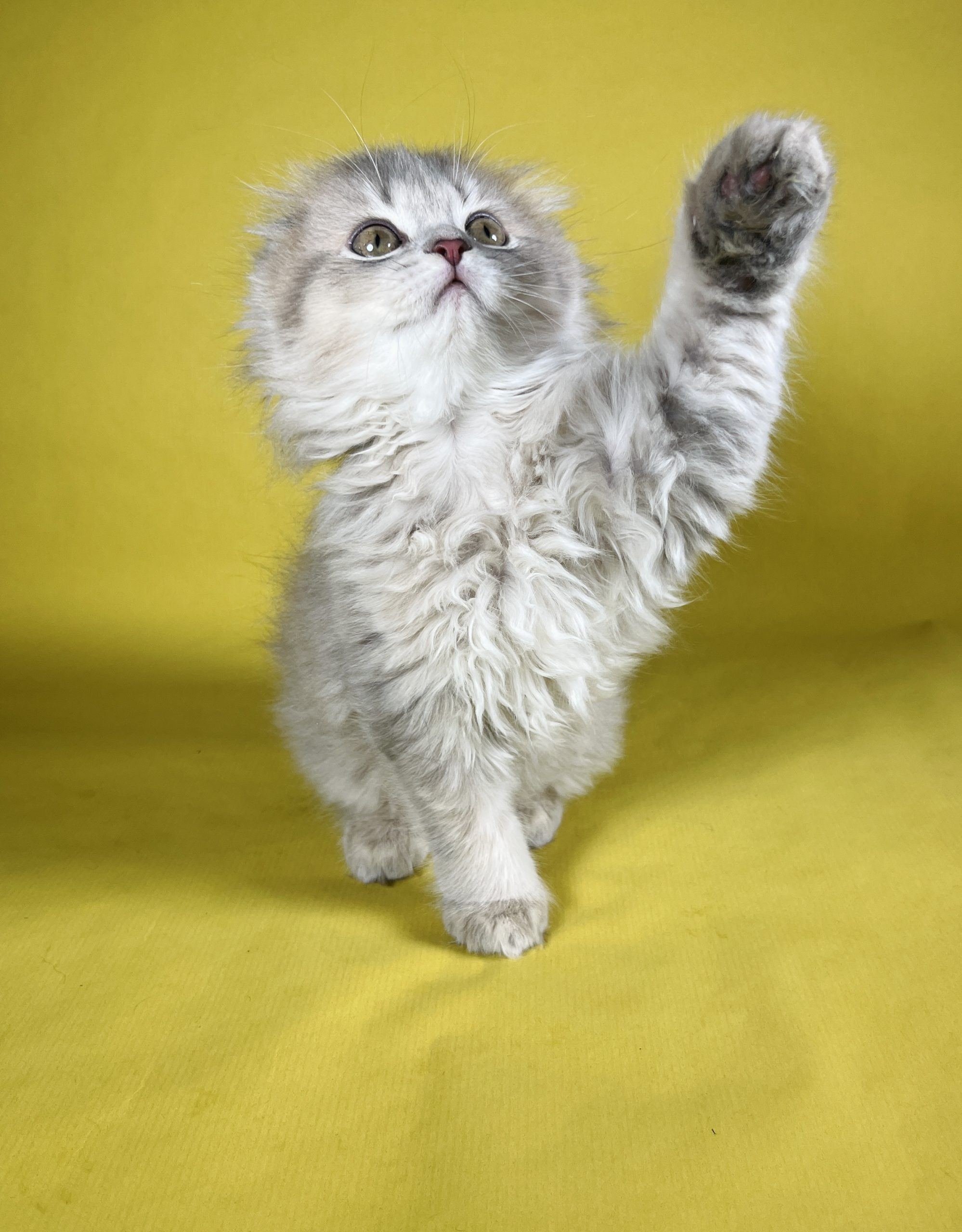 812BD067-18C1-4BA0-B655-0882BA0C0805