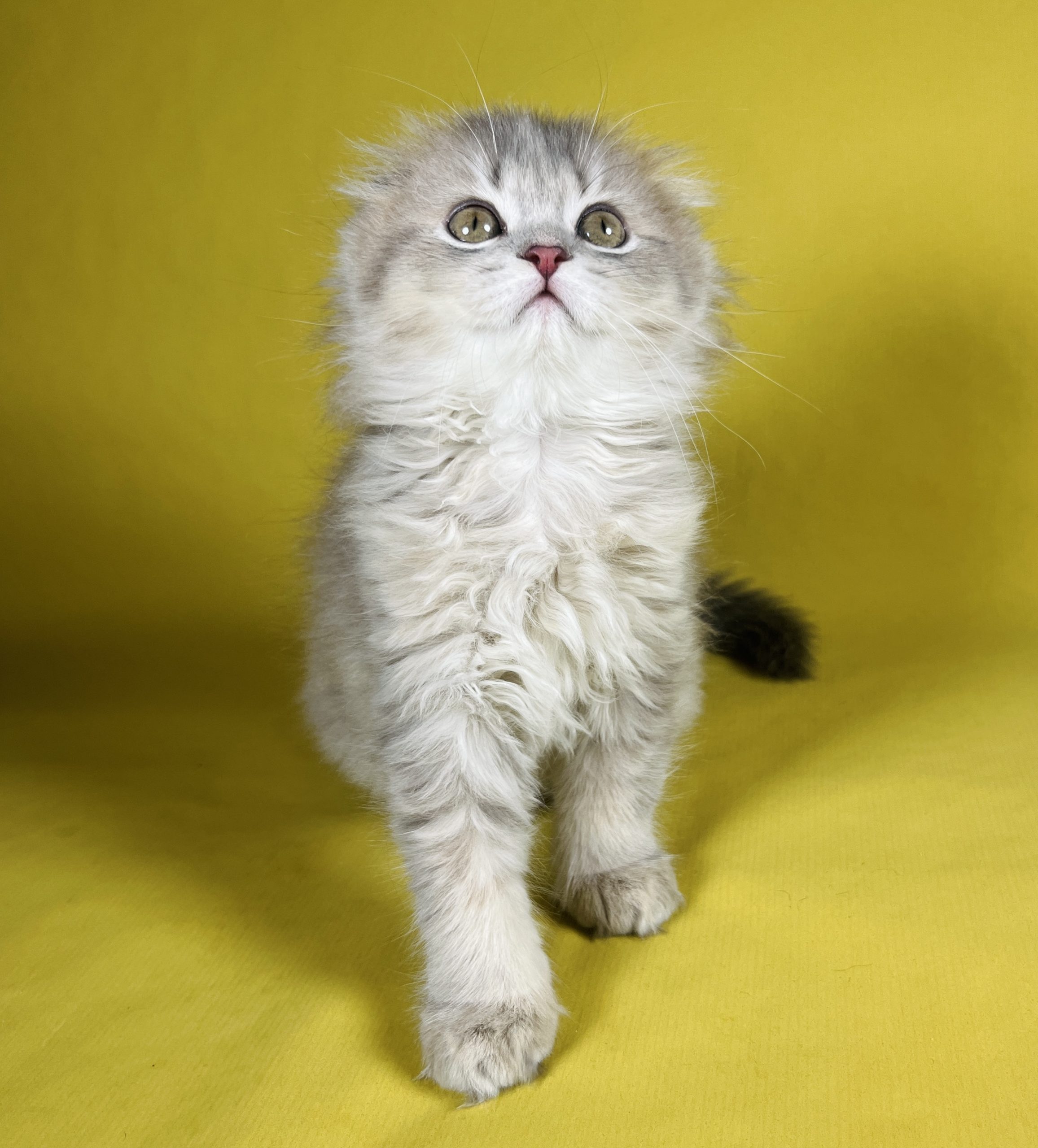 8CB125C3-992B-4132-BF58-F7118D0290C0