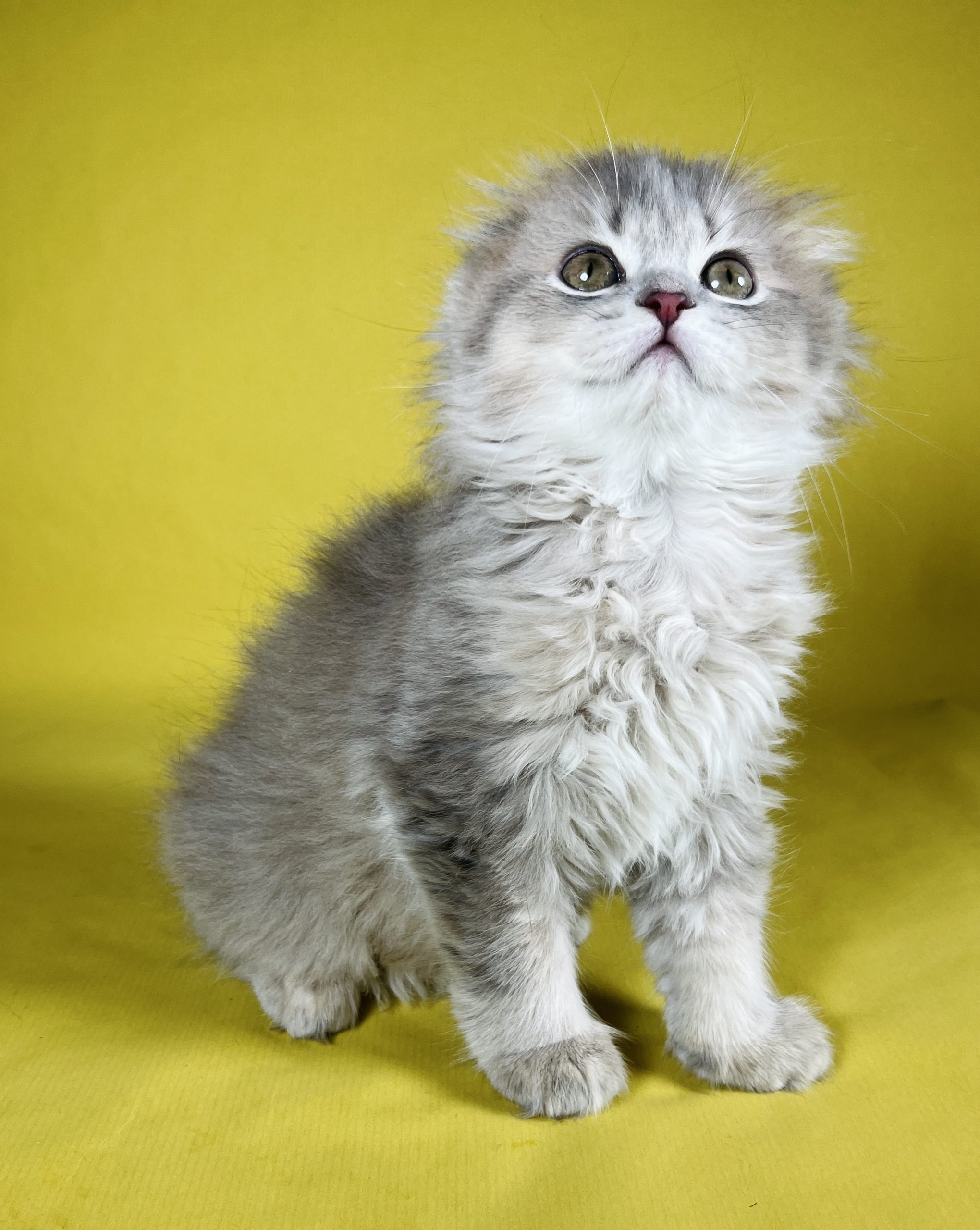 CFDB29AF-FECB-4640-9371-19E2AC6BE747