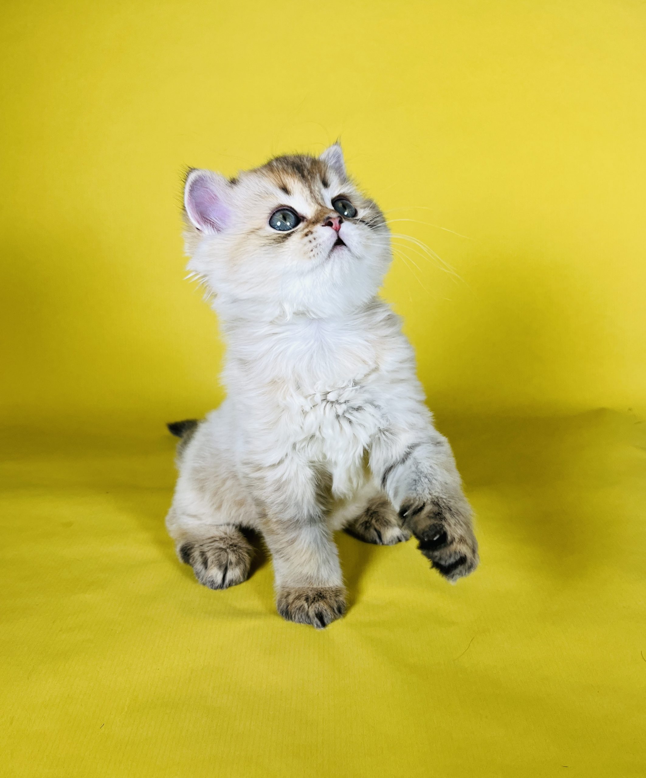 D4B13E85-8B85-4A22-986F-D252748FAB27