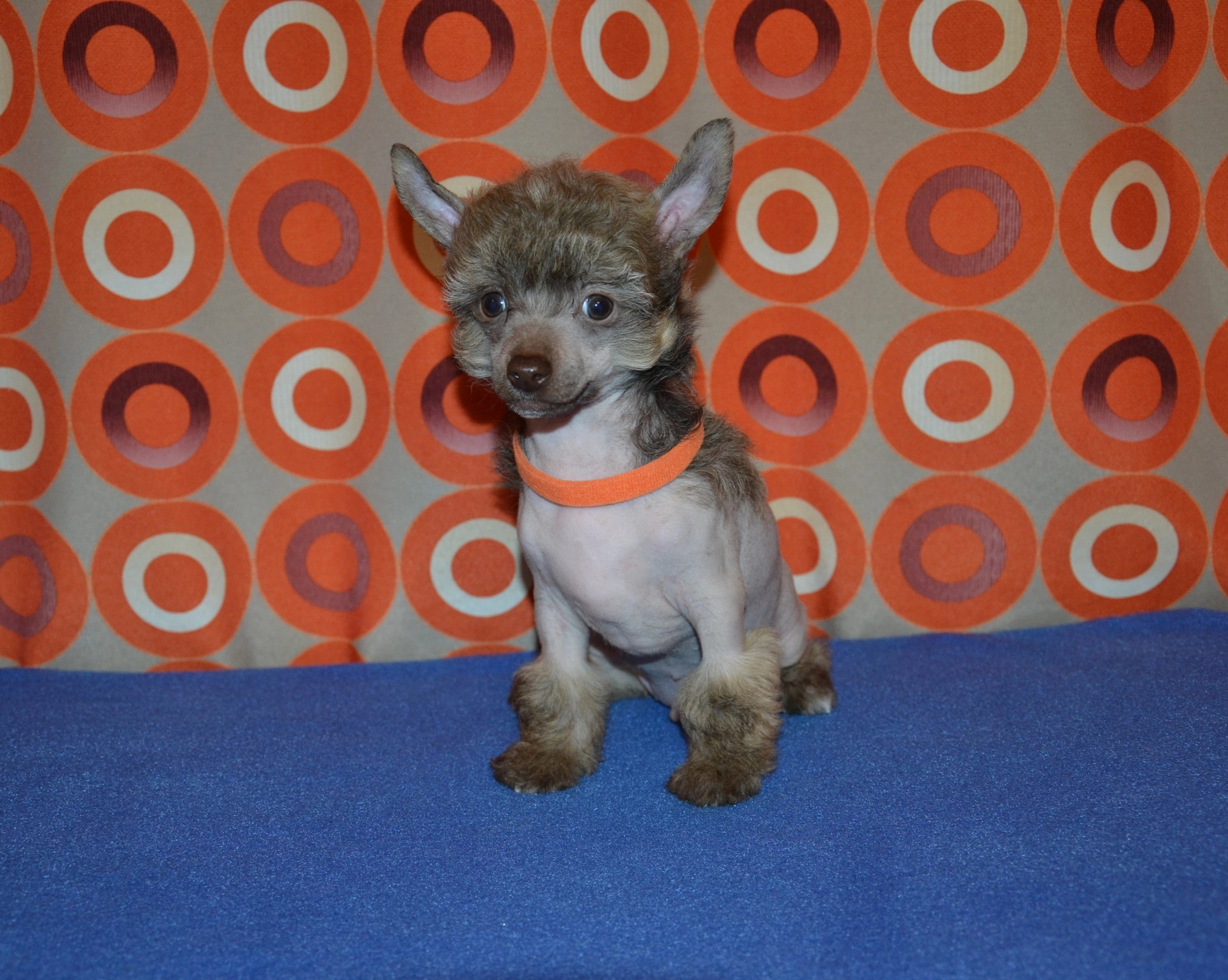 IMG_20230123_153104-1