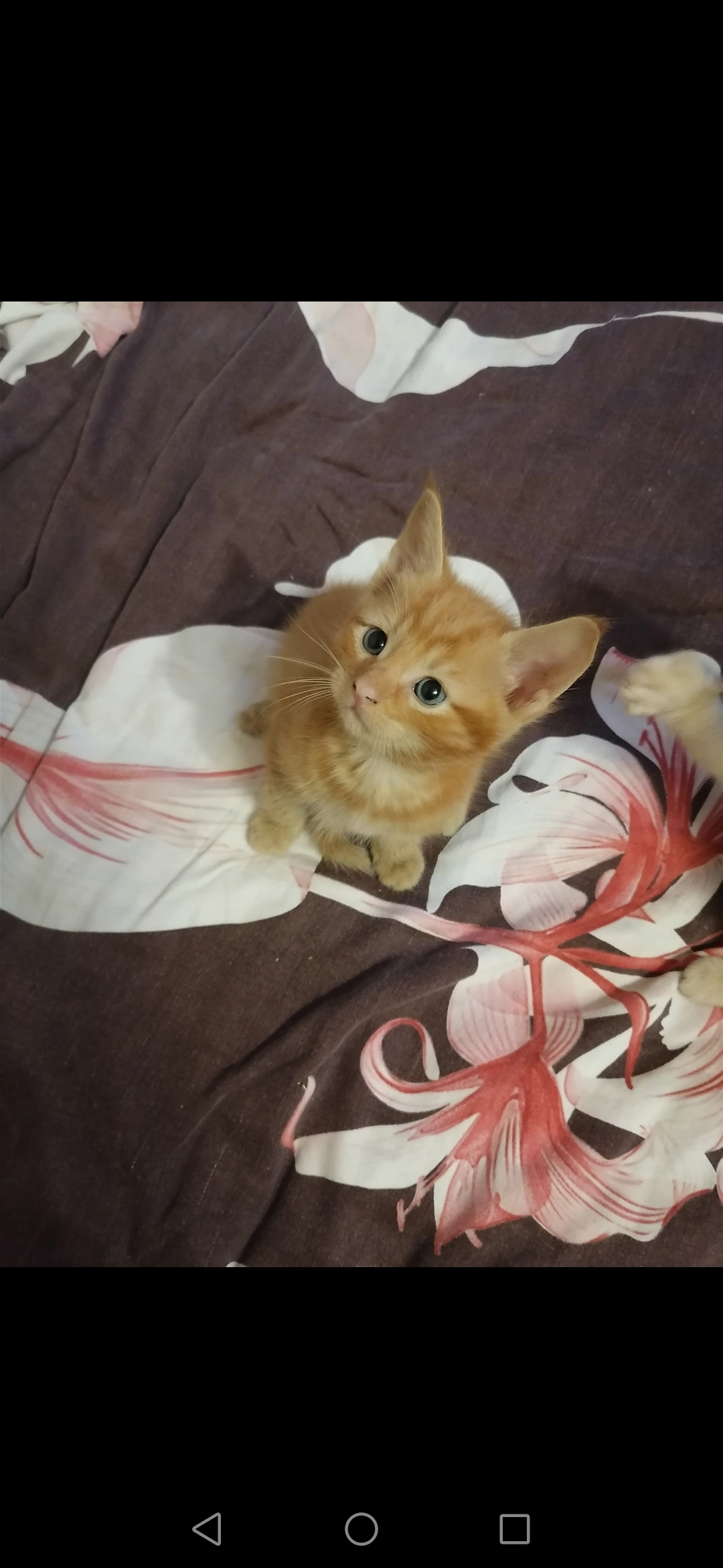 Screenshot_20230123_222946_com.android.gallery3d