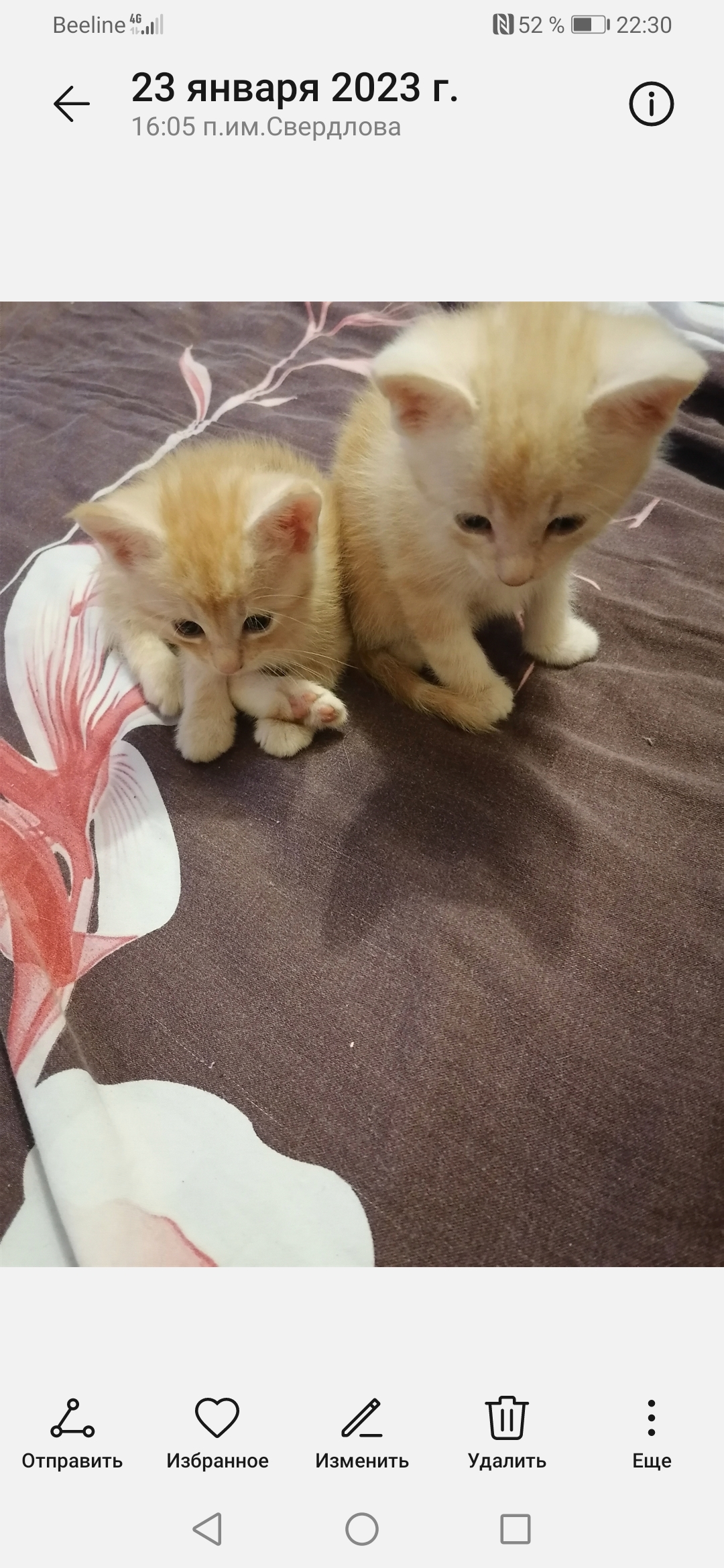 Screenshot_20230123_223028_com.android.gallery3d