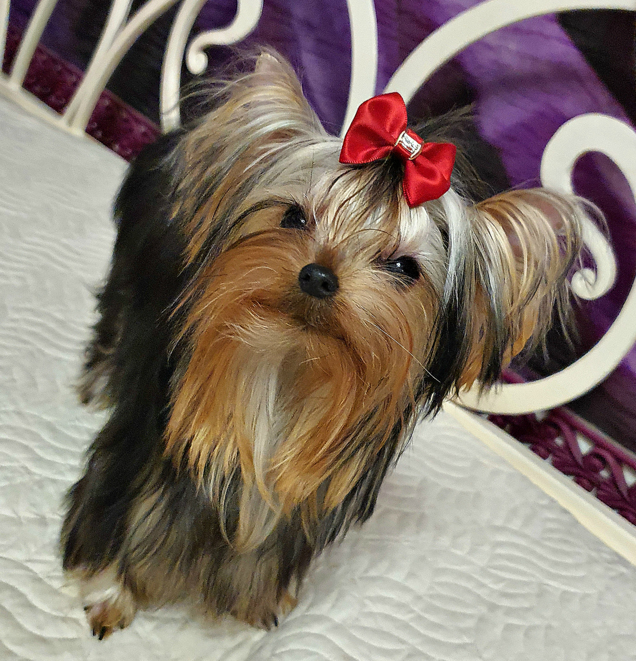 20230214_175941Да1