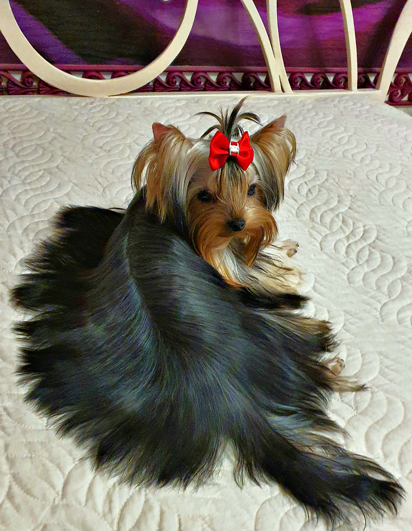 20230214_181040Да1