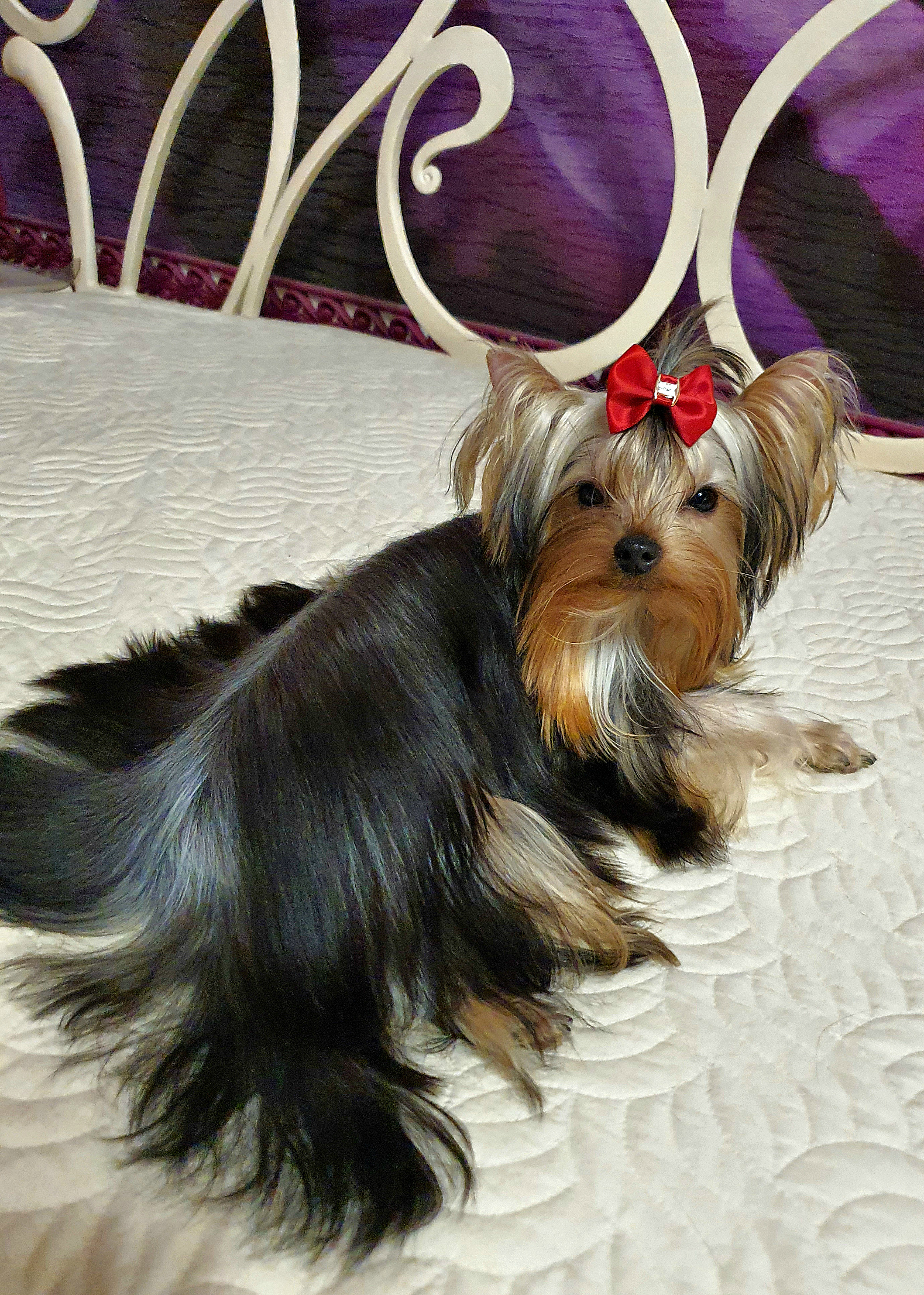 20230214_181400Да1