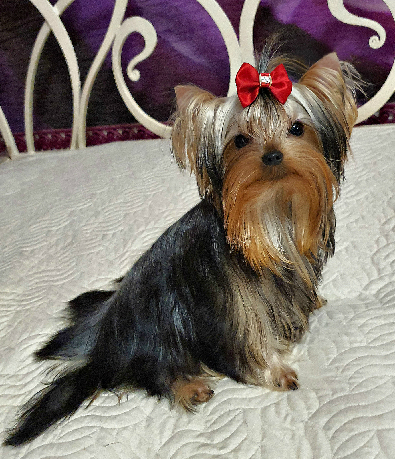 20230214_181555Да1