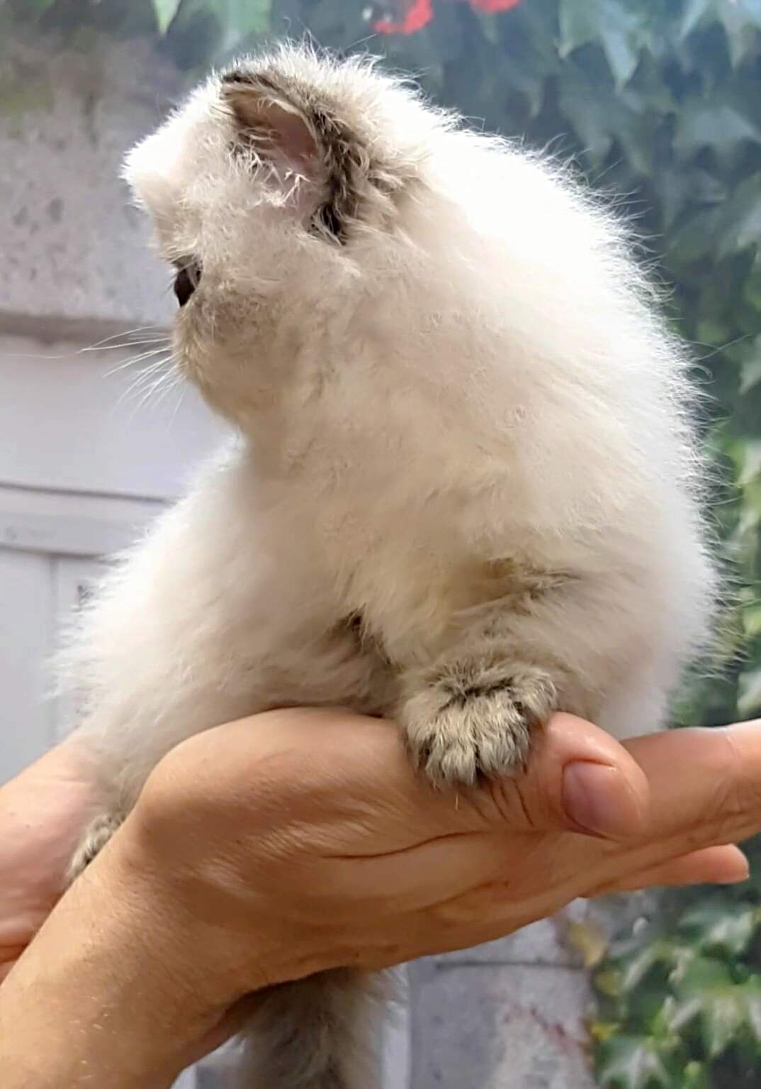 FB_IMG_1675765407224