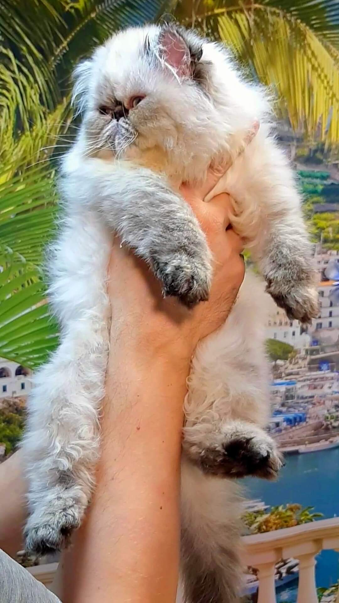 FB_IMG_1675765430281