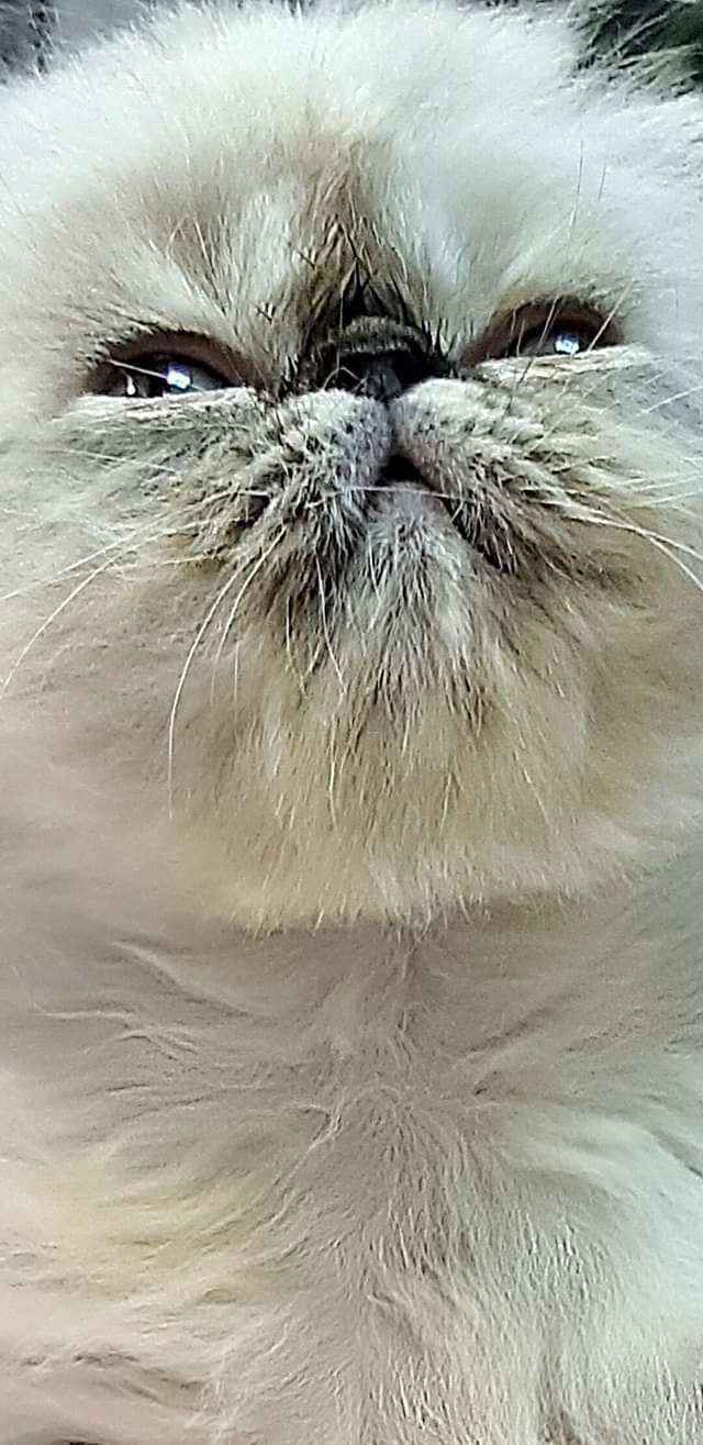 FB_IMG_1675765445460