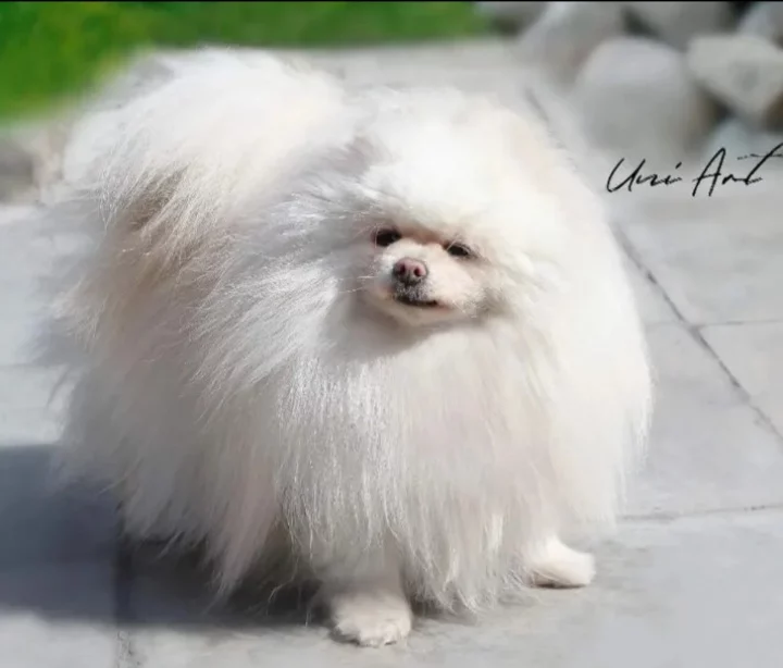 IMG_20230204_151253_435