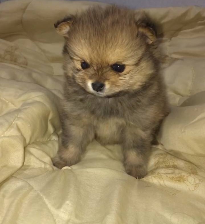 photo_2023-02-10_20-05-27.jpg111