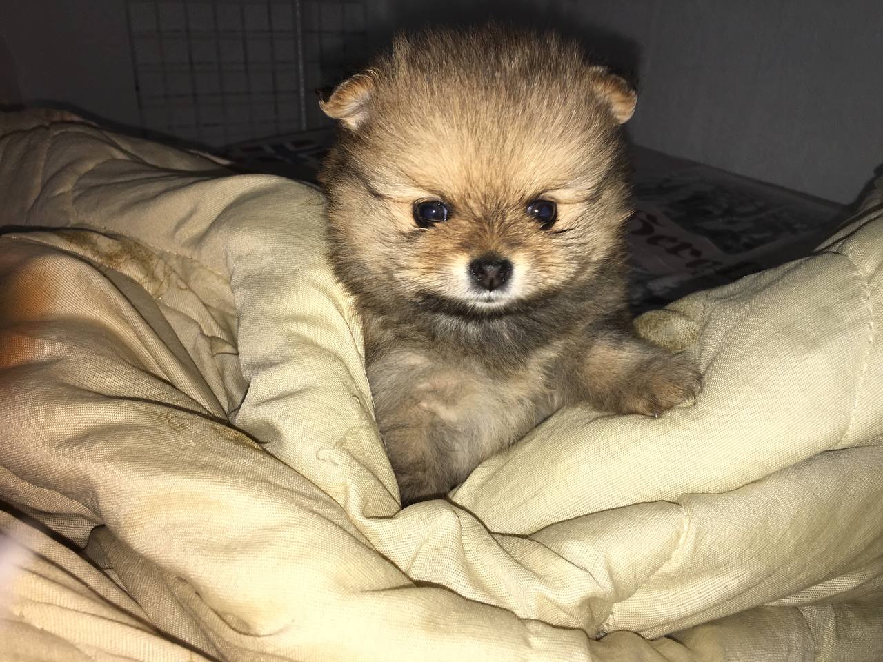 photo_2023-02-10_20-05-30