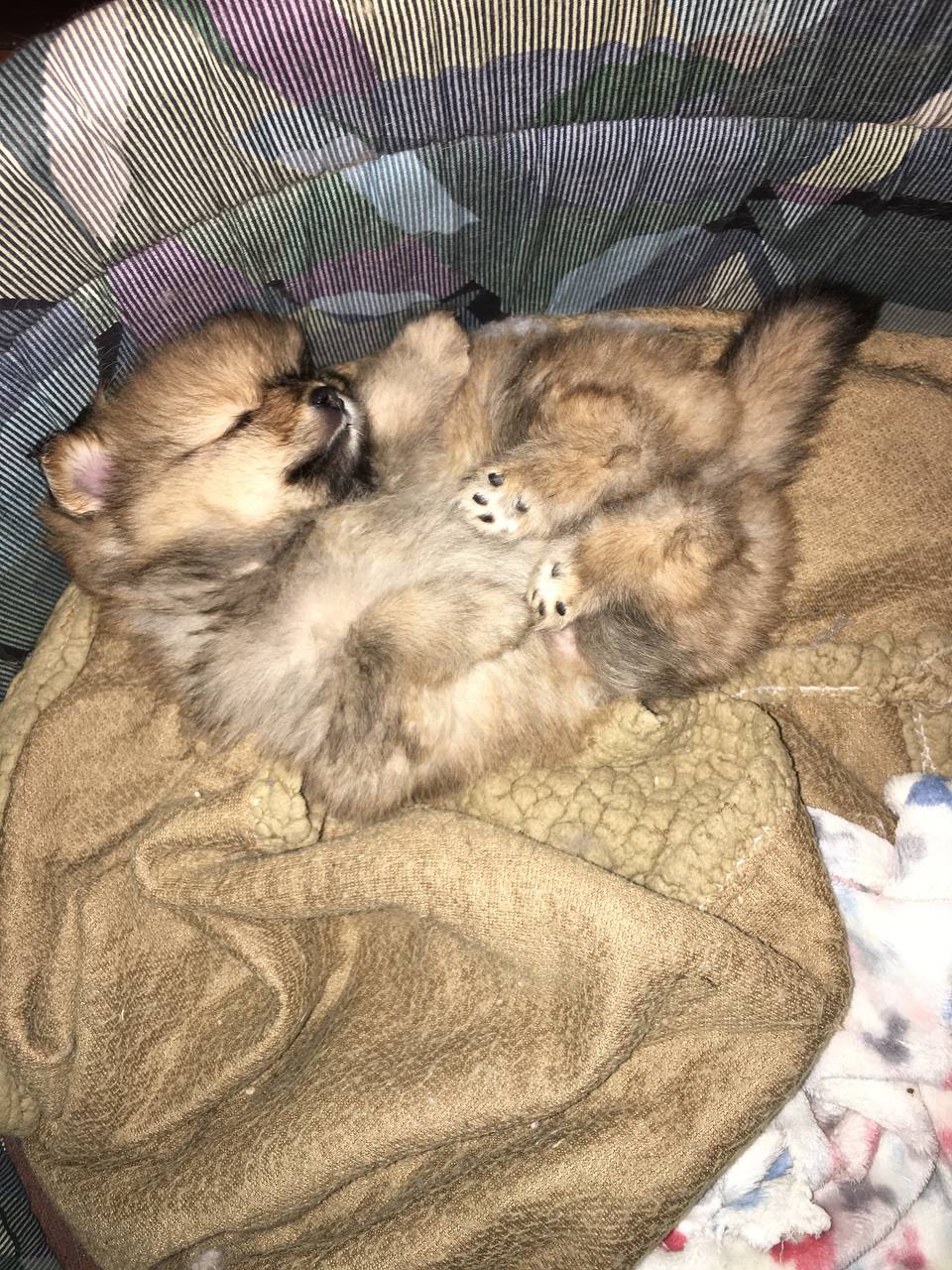 photo_2023-02-10_20-05-34