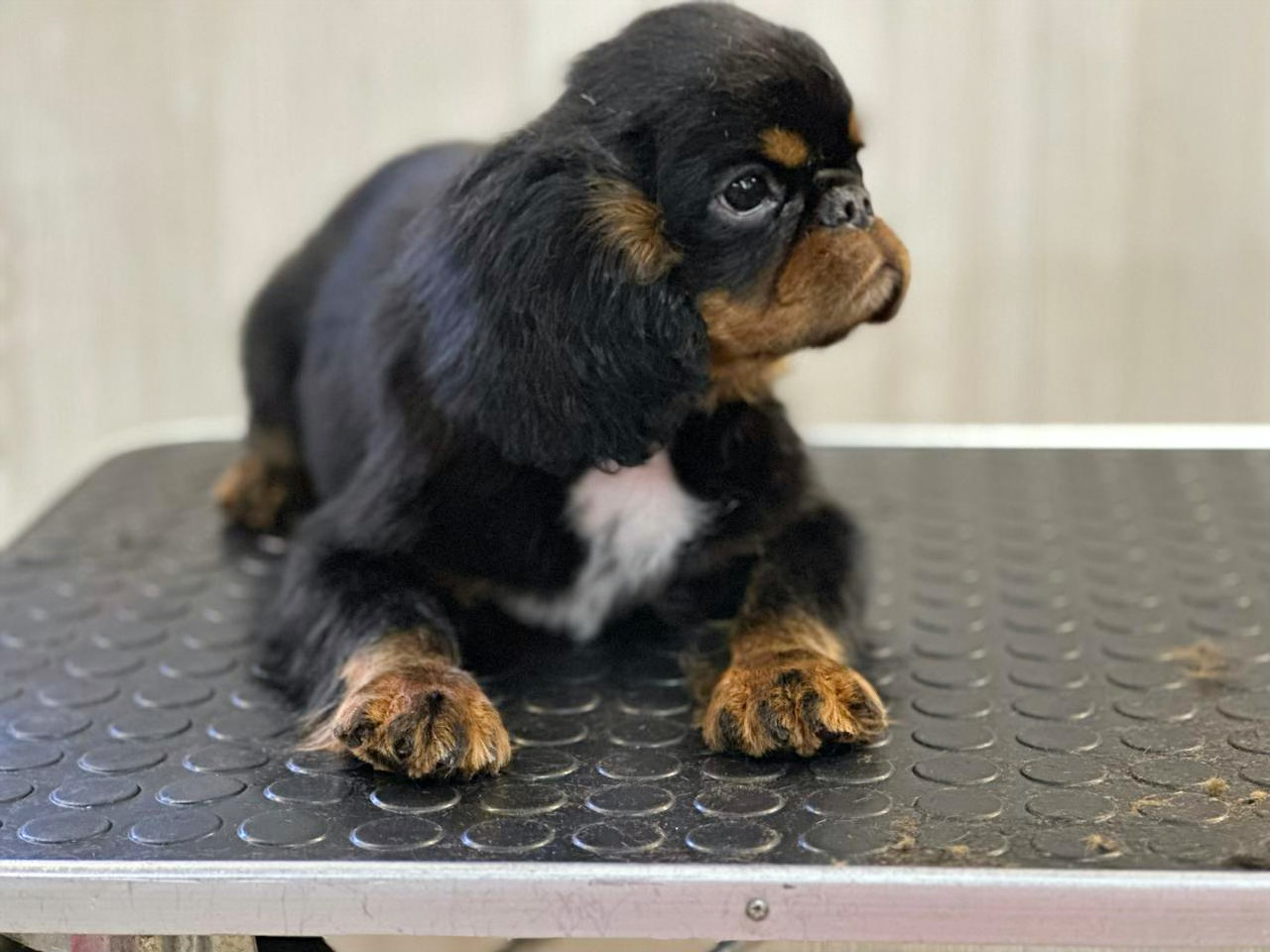 24486923-3501-4A85-B133-07207B834A91