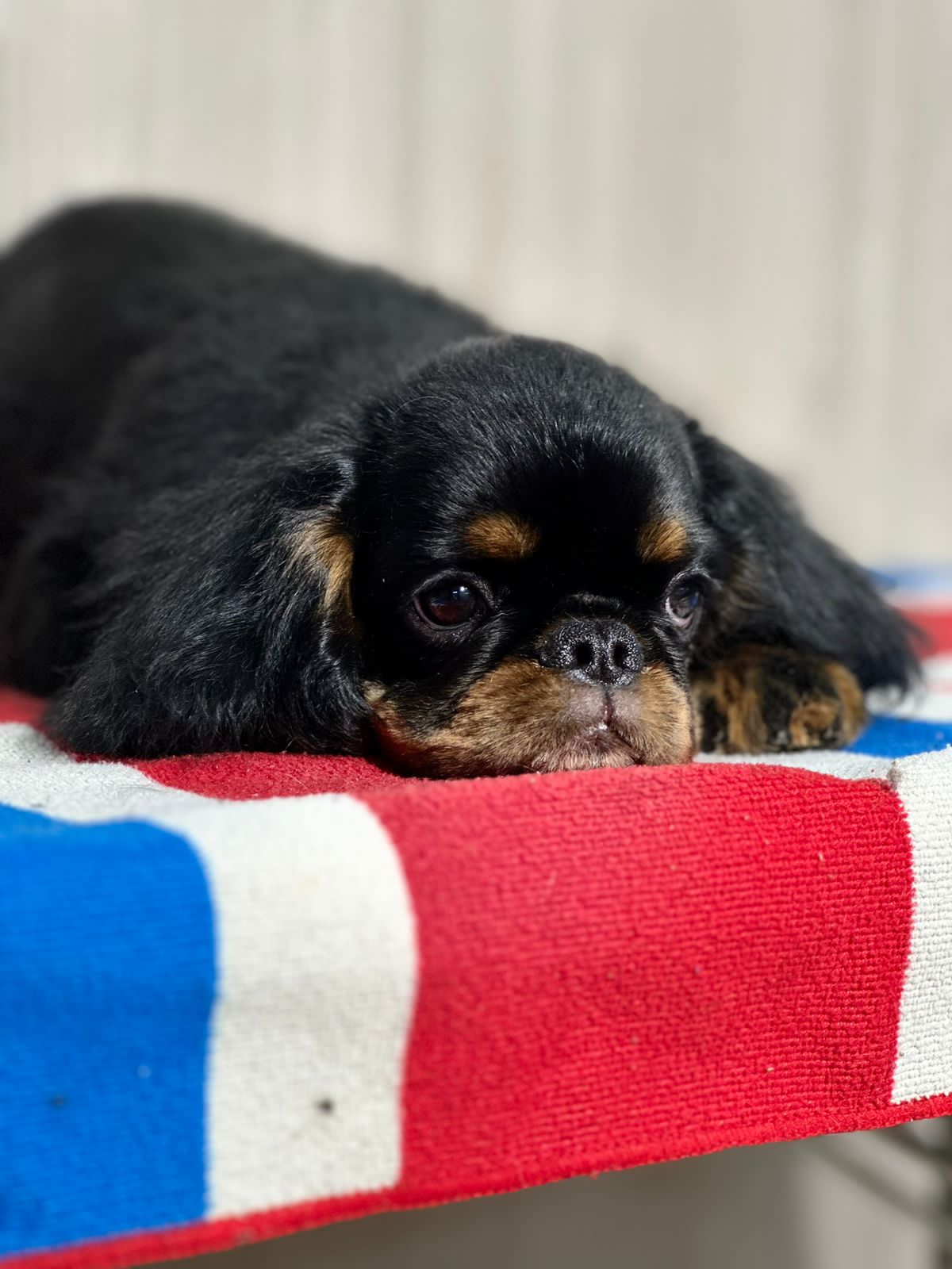 54512C5F-78B9-43A1-99AB-314D6576BC2E