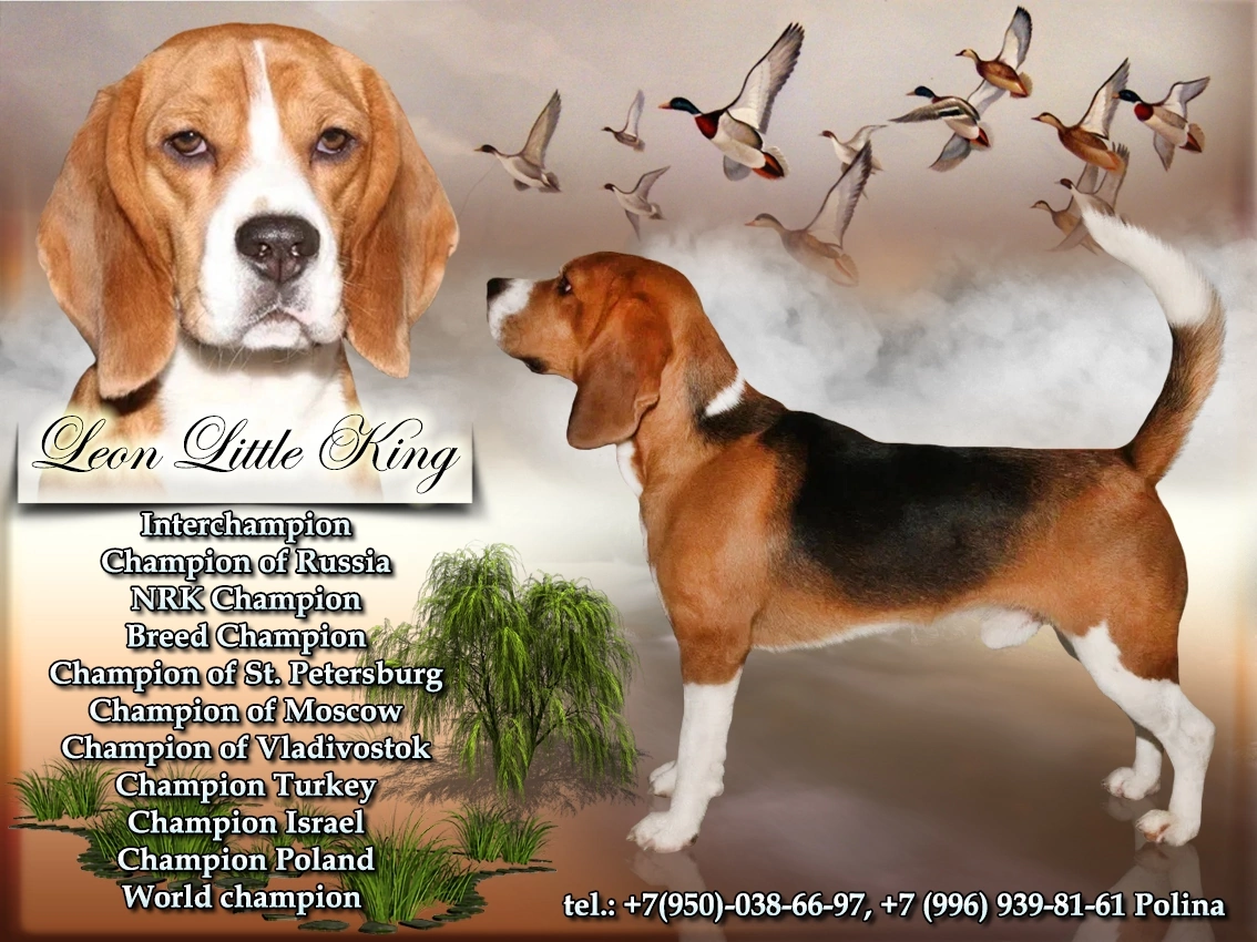 63365BCC-E12E-463B-A886-366E52329F70