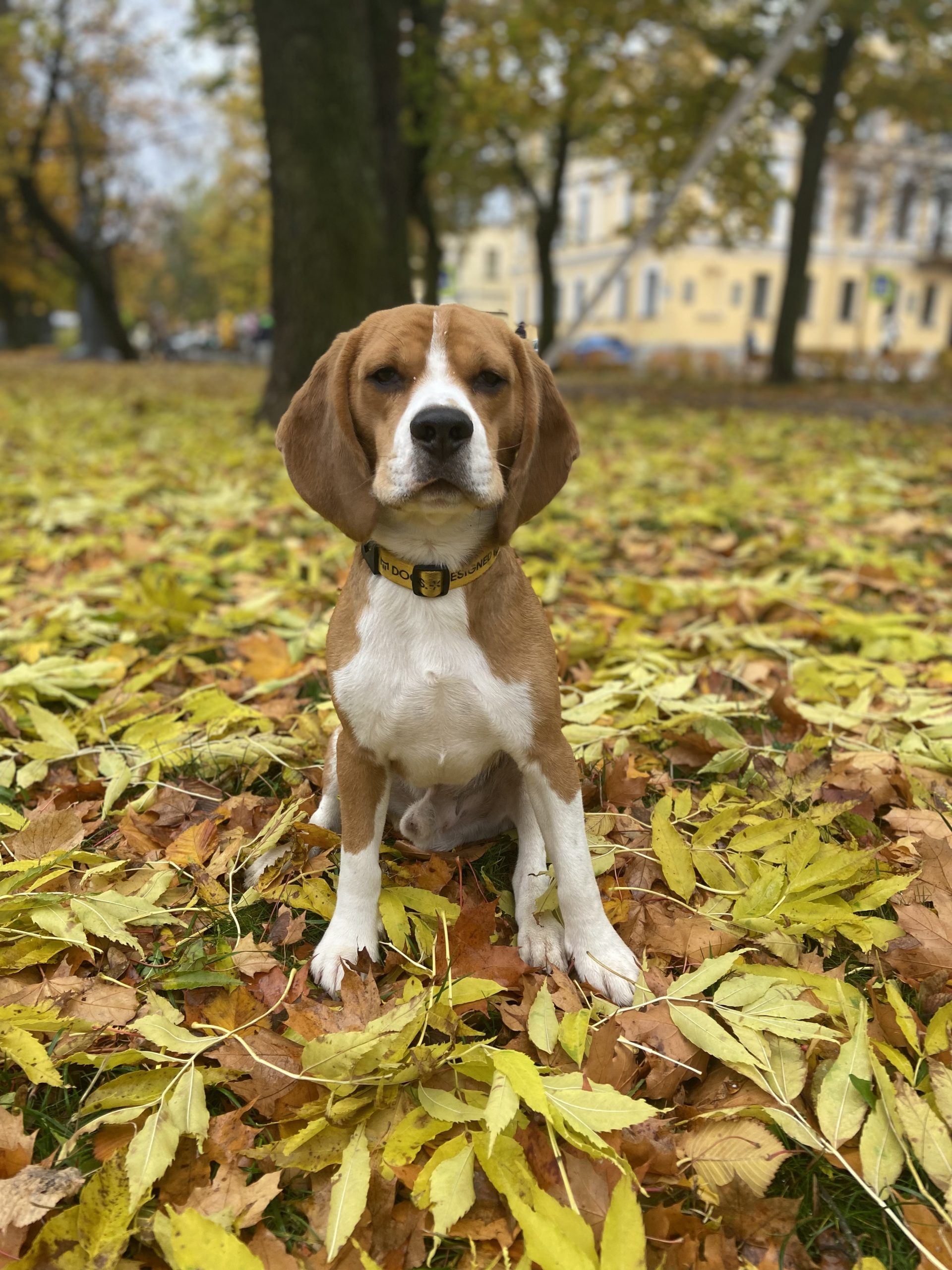 E3B72160-740D-4F7A-A463-4DC37853CB11