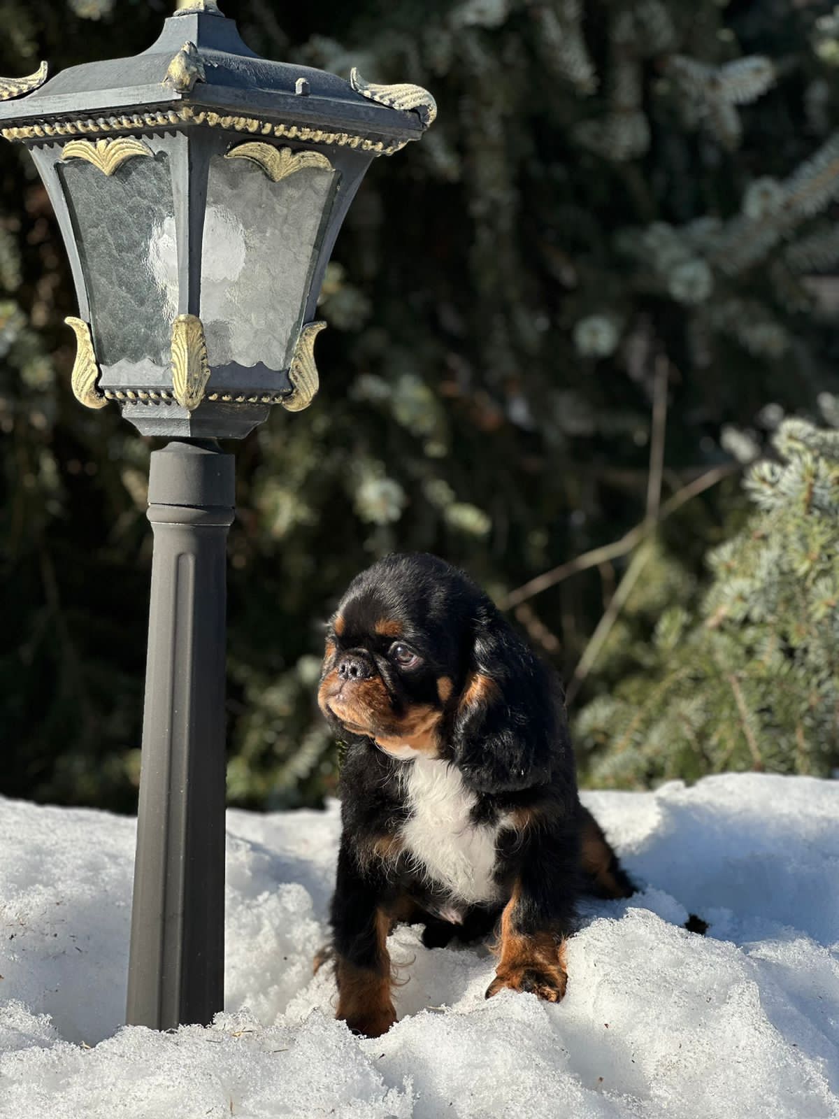 F9B9AA50-28BB-449E-8E0F-1ABECAD000C6