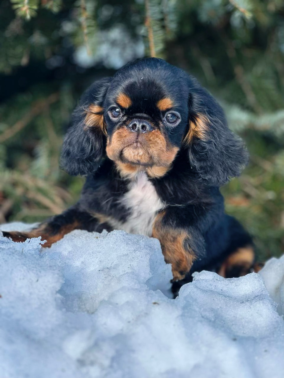 FB26BA3A-2AC8-4F0A-80B6-859C432E4C57