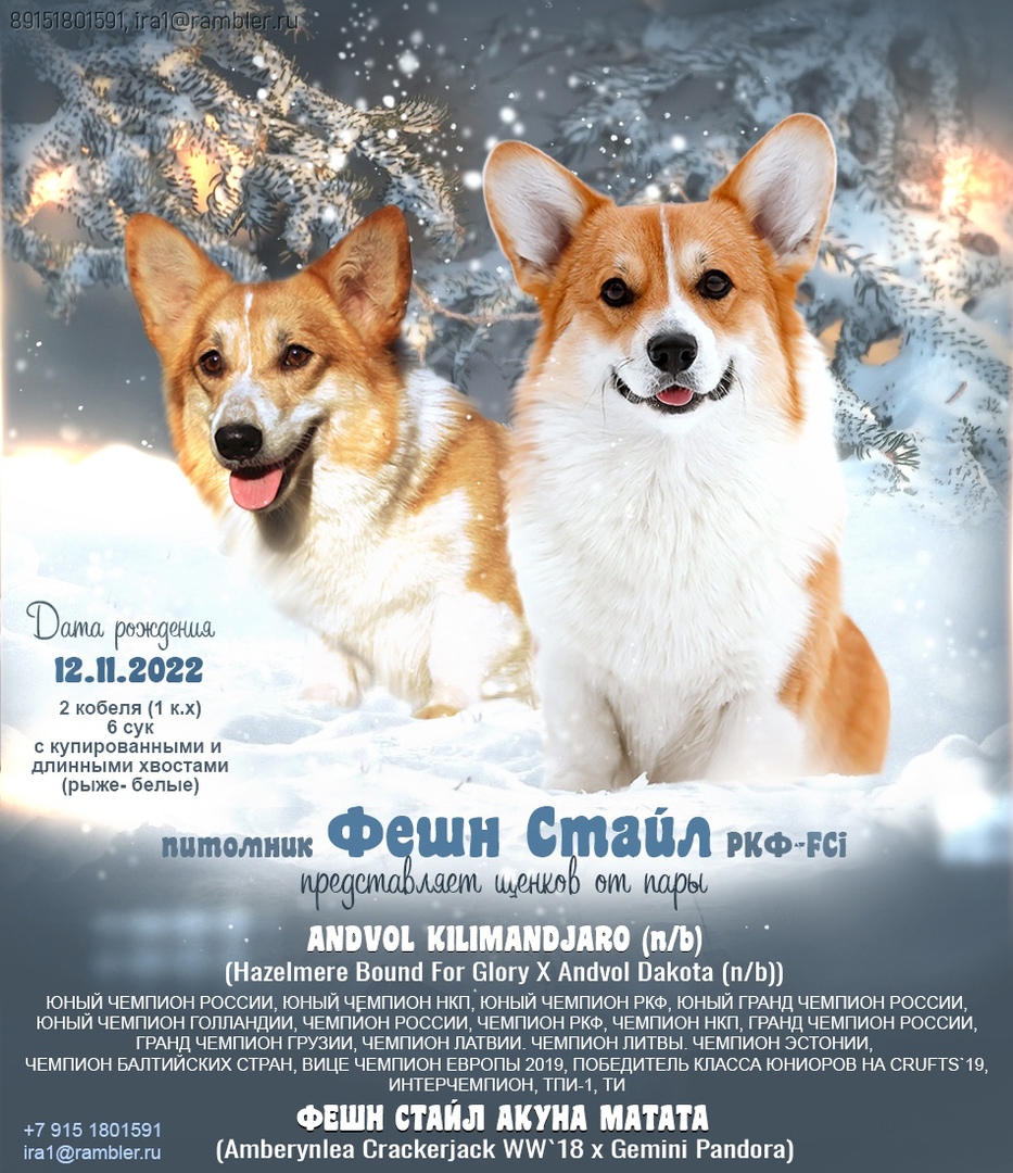 MG_9179-р