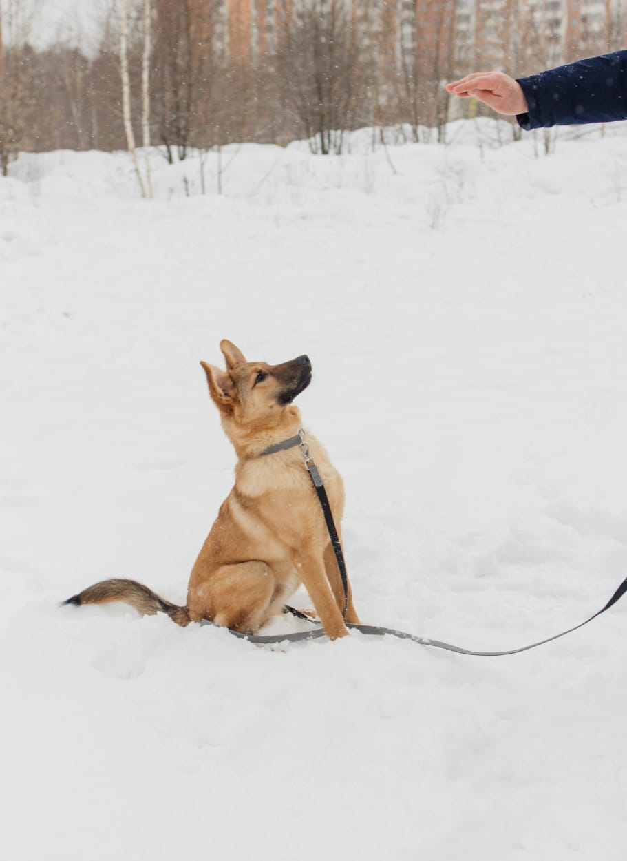 WhatsApp-Image-2023-03-10-at-13.42.02