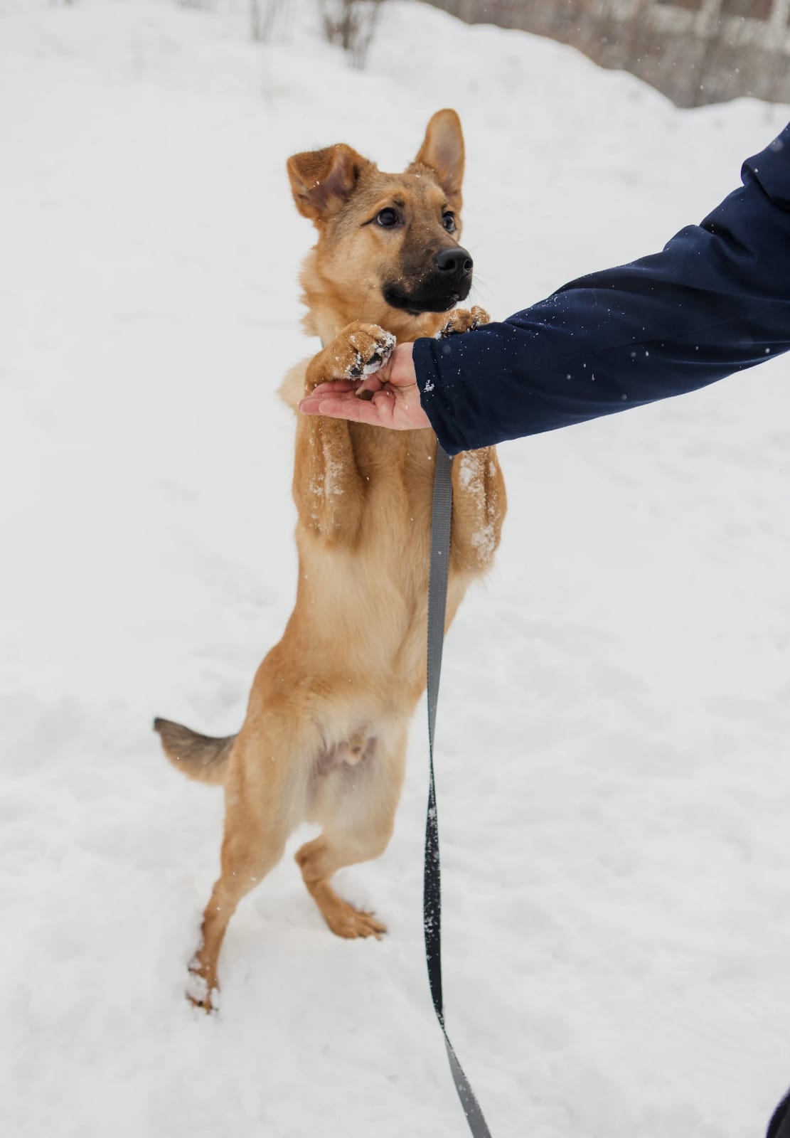 WhatsApp-Image-2023-03-10-at-13.42.17