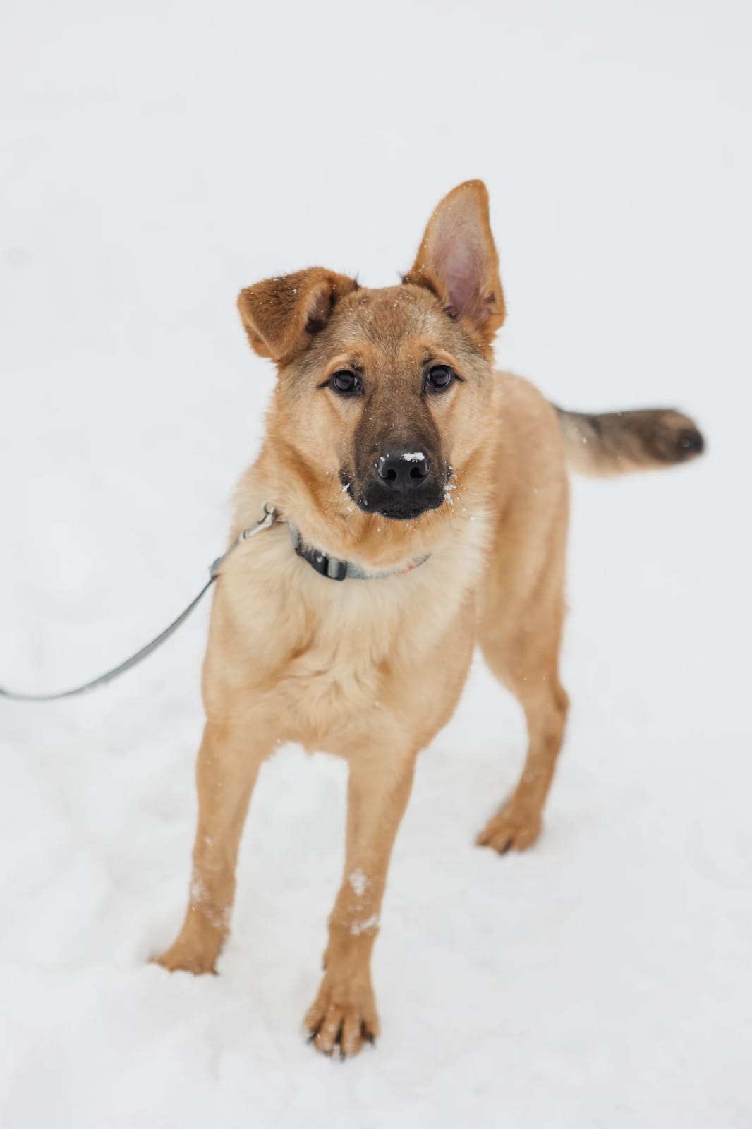 WhatsApp-Image-2023-03-10-at-13.42.28