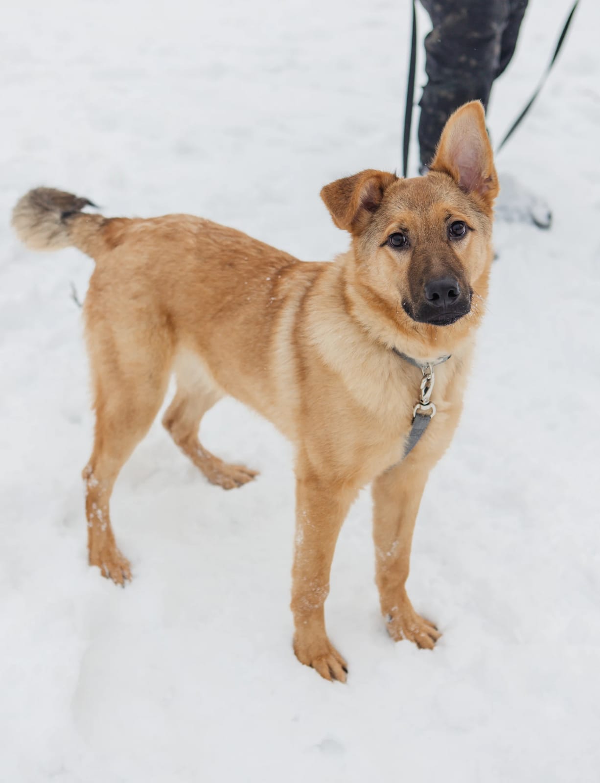 WhatsApp-Image-2023-03-10-at-13.42.38