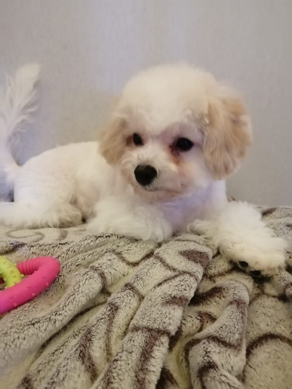 photo_2023-03-24_19-09-56