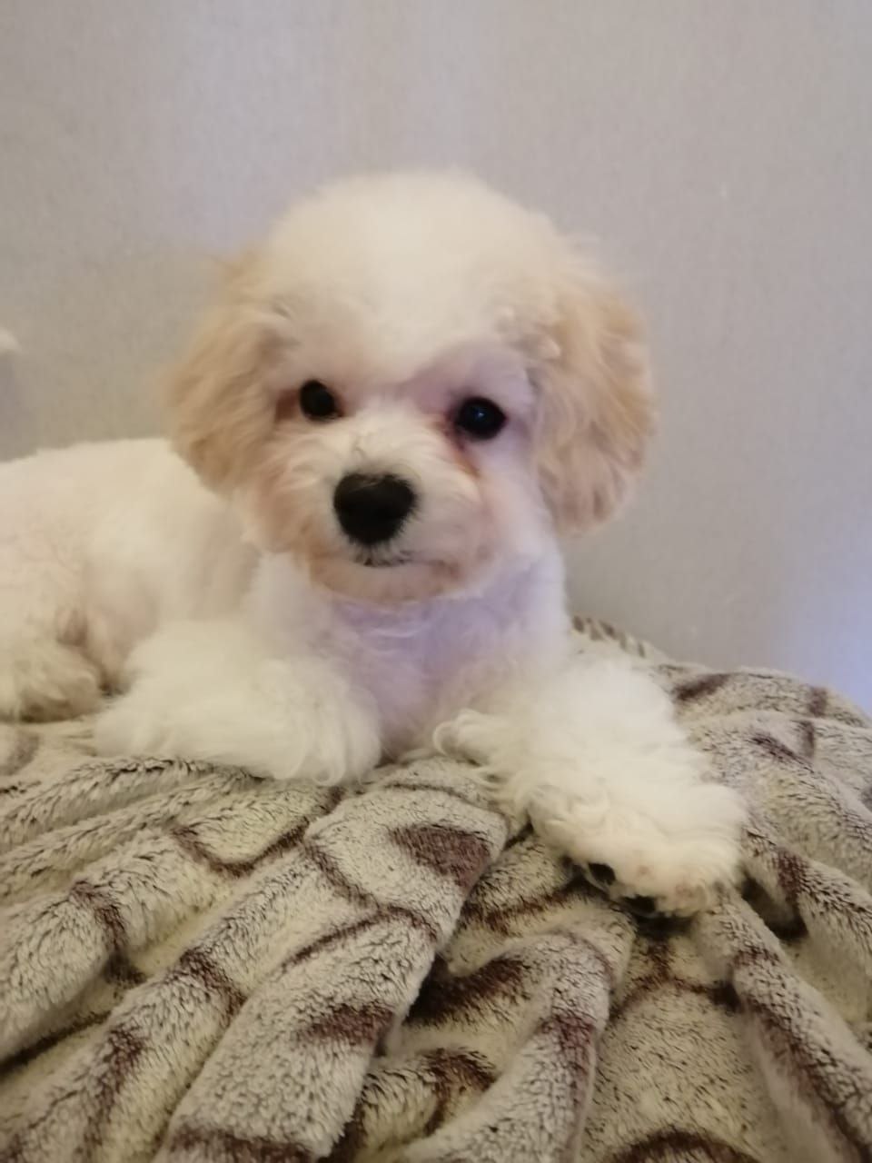 photo_2023-03-24_19-10-06