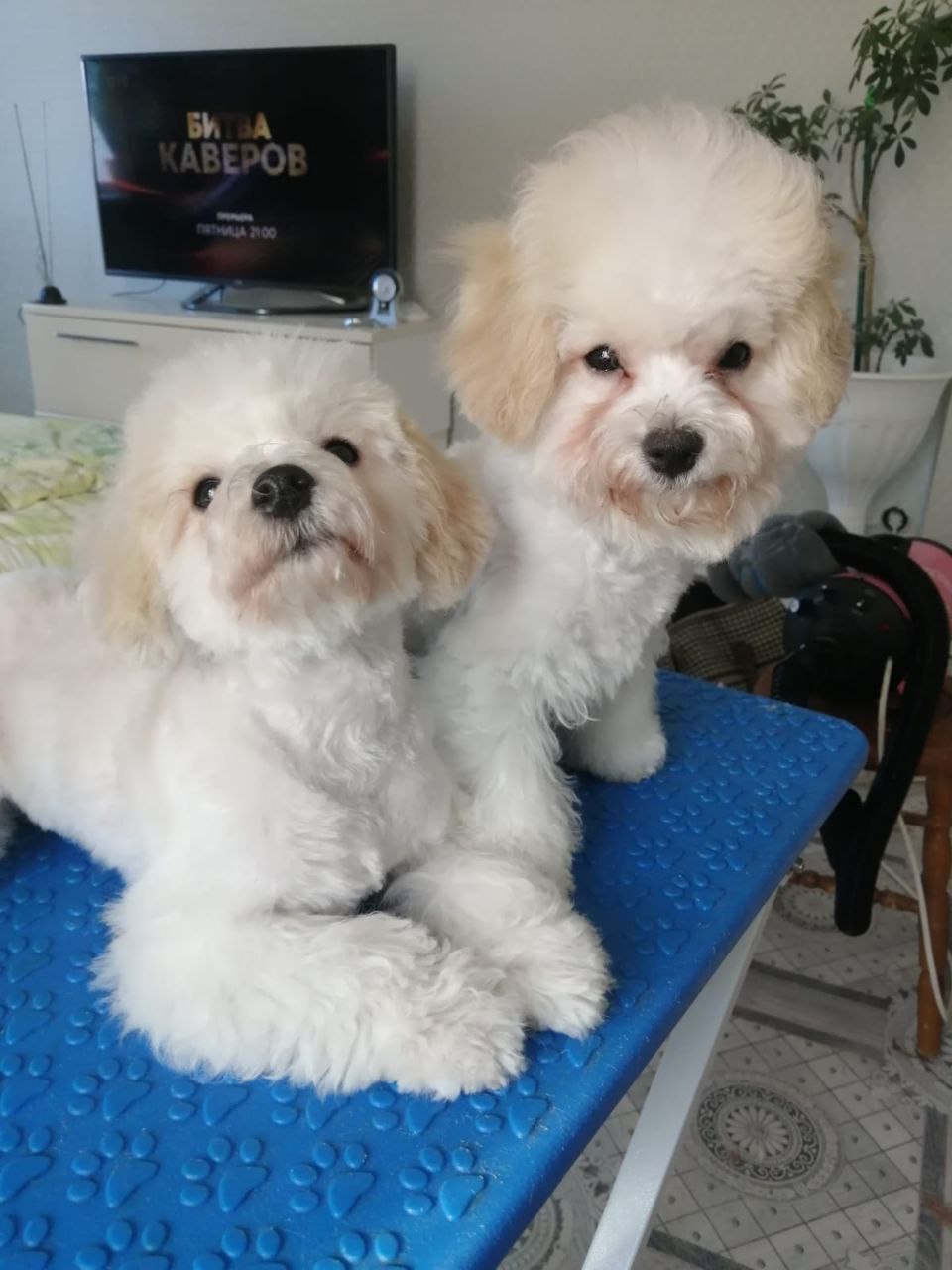 photo_2023-03-24_19-10-09