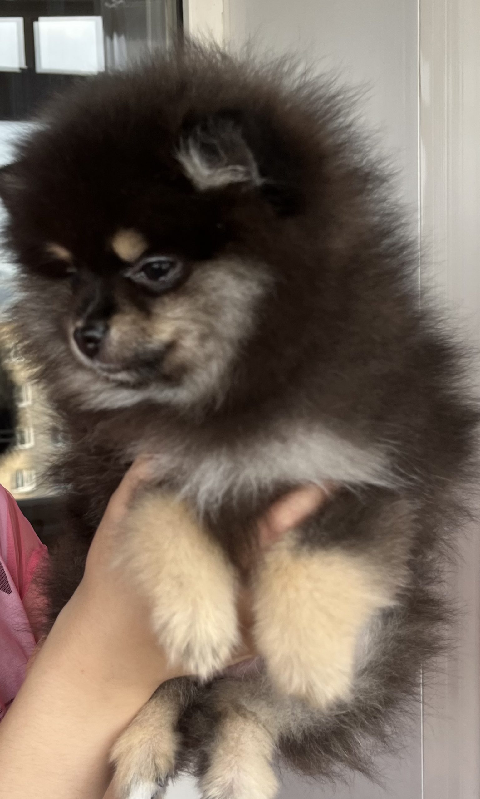 091A6211-78E8-4577-B683-27B11FD2D597