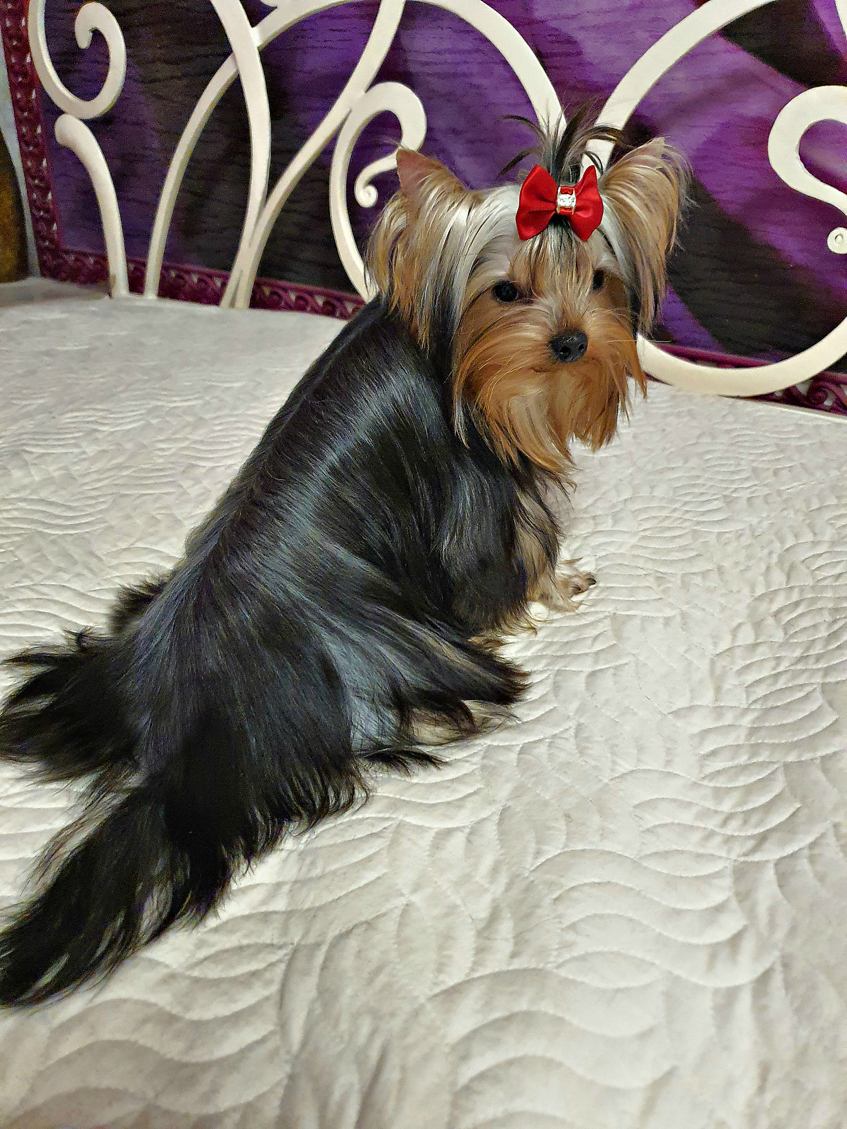 20230214_180710Да3