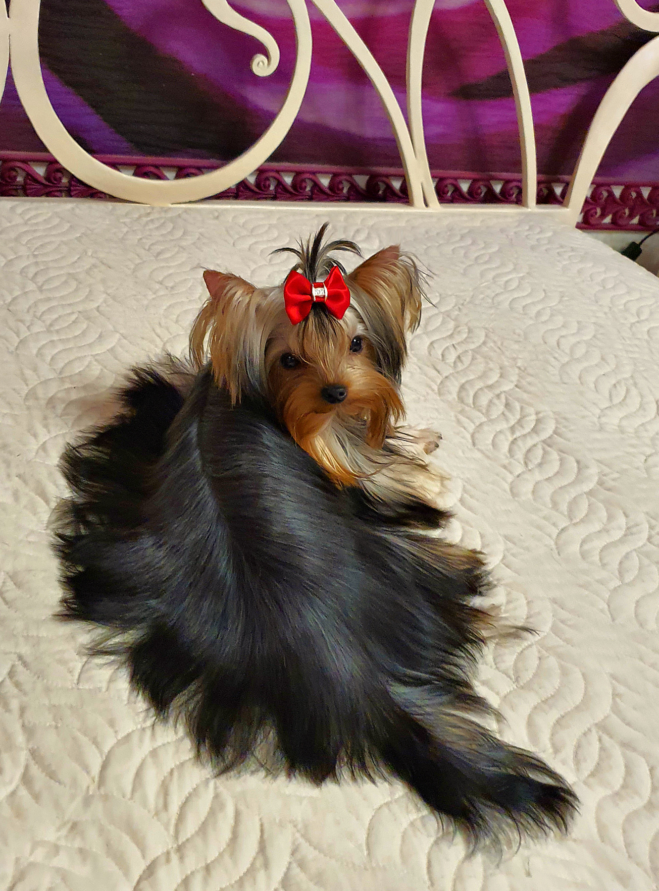 20230214_181017Да3