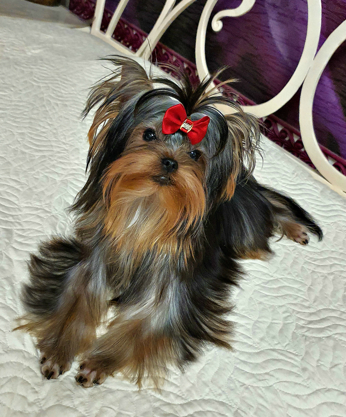 20230215_175733Да3