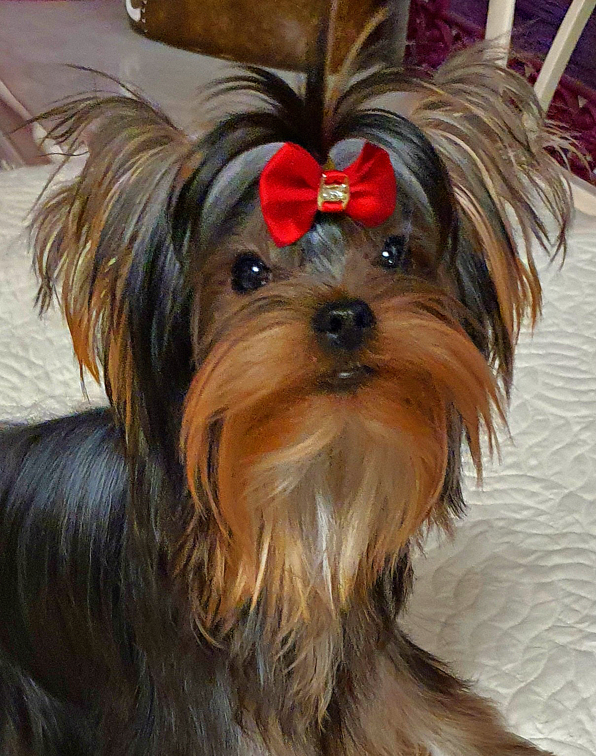 20230215_175853Да3