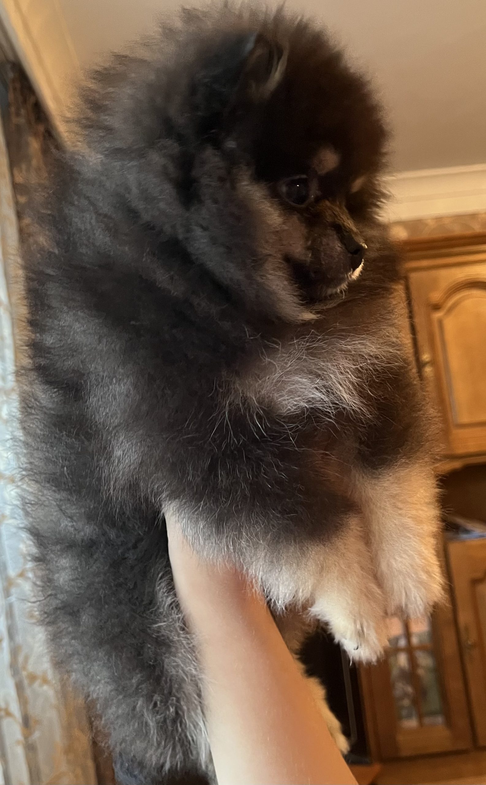 2CDDC49B-AA57-49DE-93E6-9E45FE848524