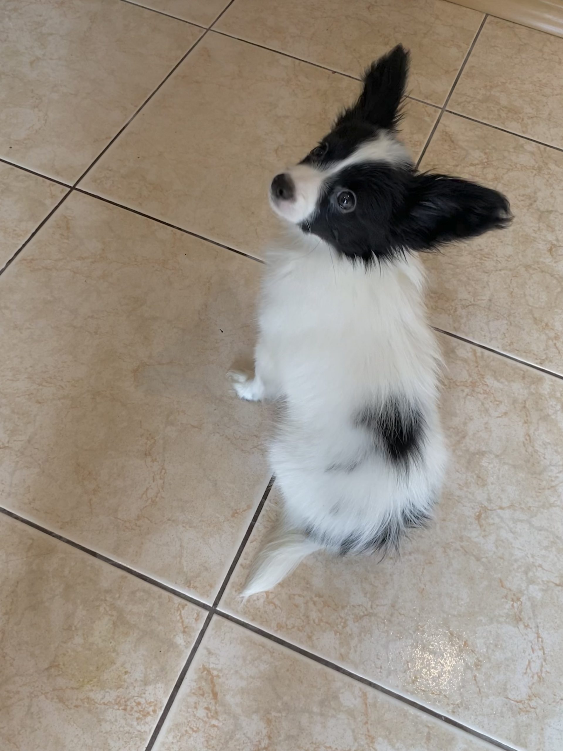 507C46F1-0CA7-41BC-96AB-C636737A222A