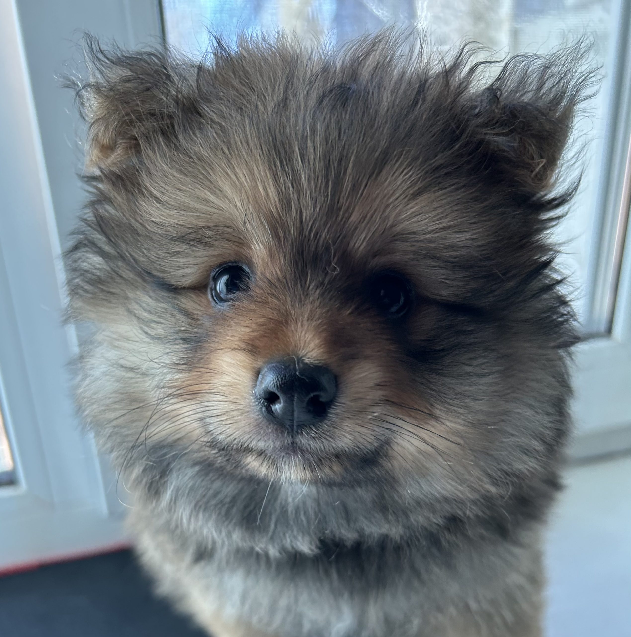 6358CFFB-60CD-479D-B6D8-DB268D23BE73