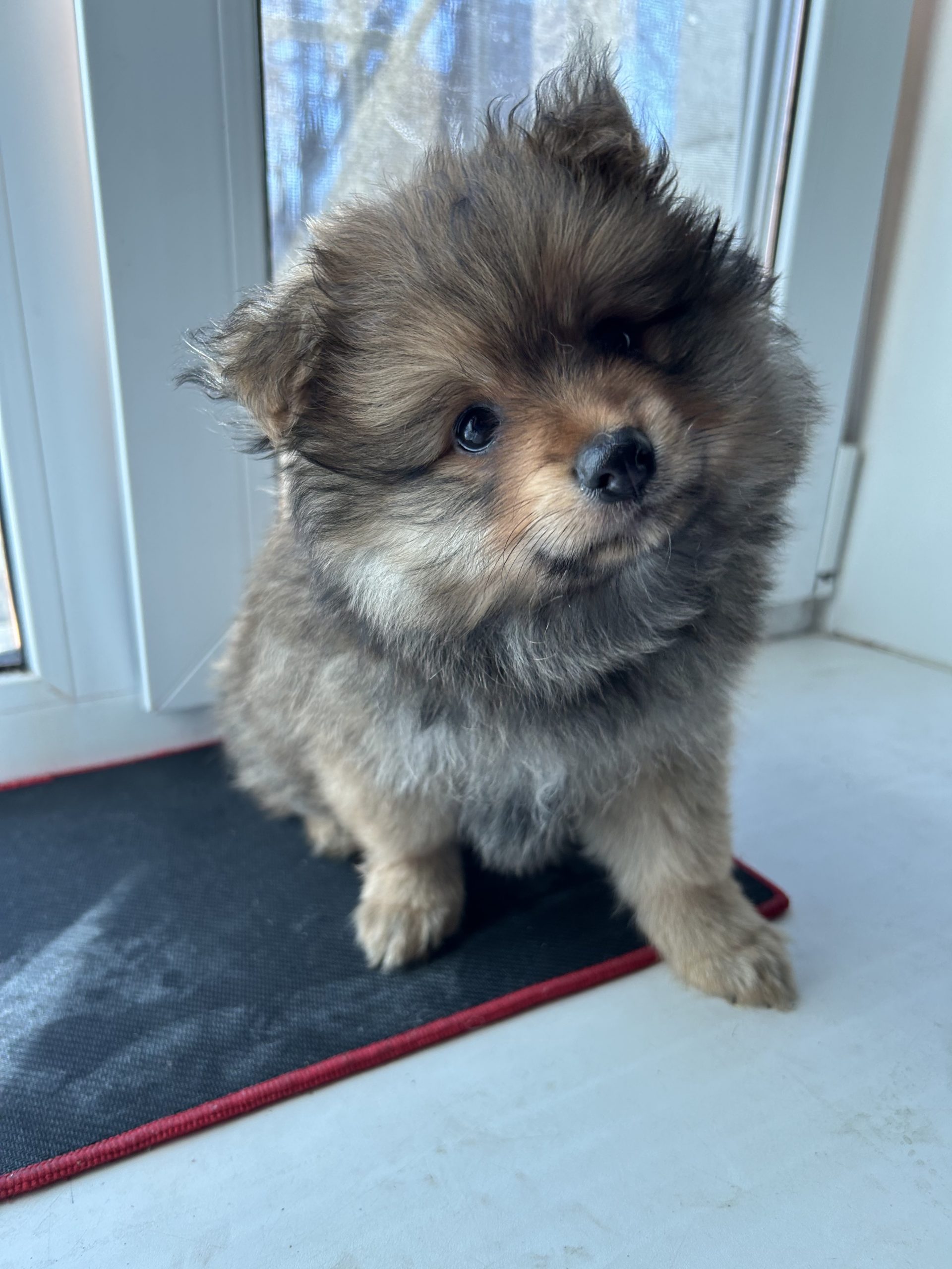 97E48B10-65F4-4027-9E97-32FE43A3BE86