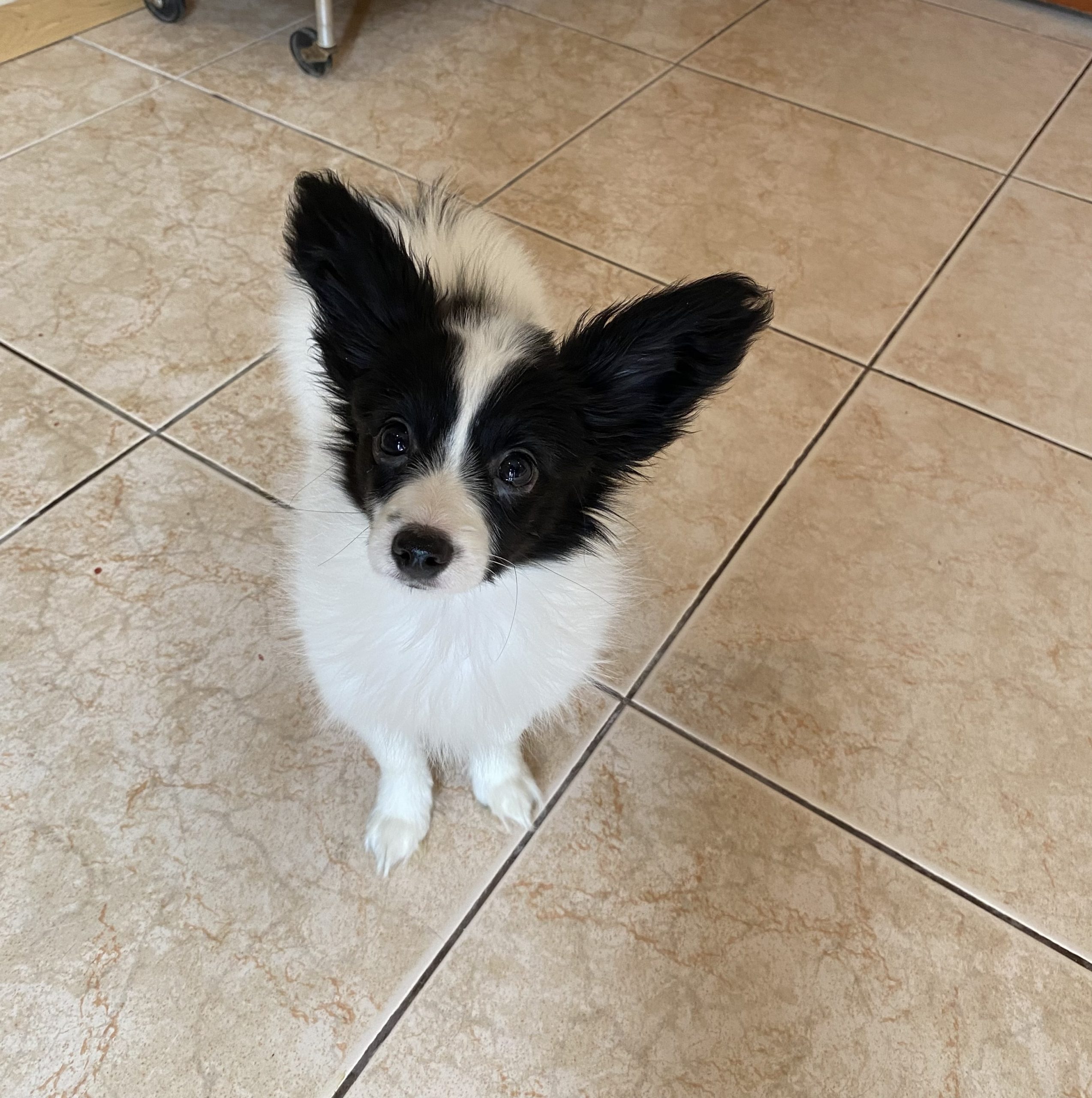 A5F7C38D-7BFB-4901-9E77-7C489C48EC3D