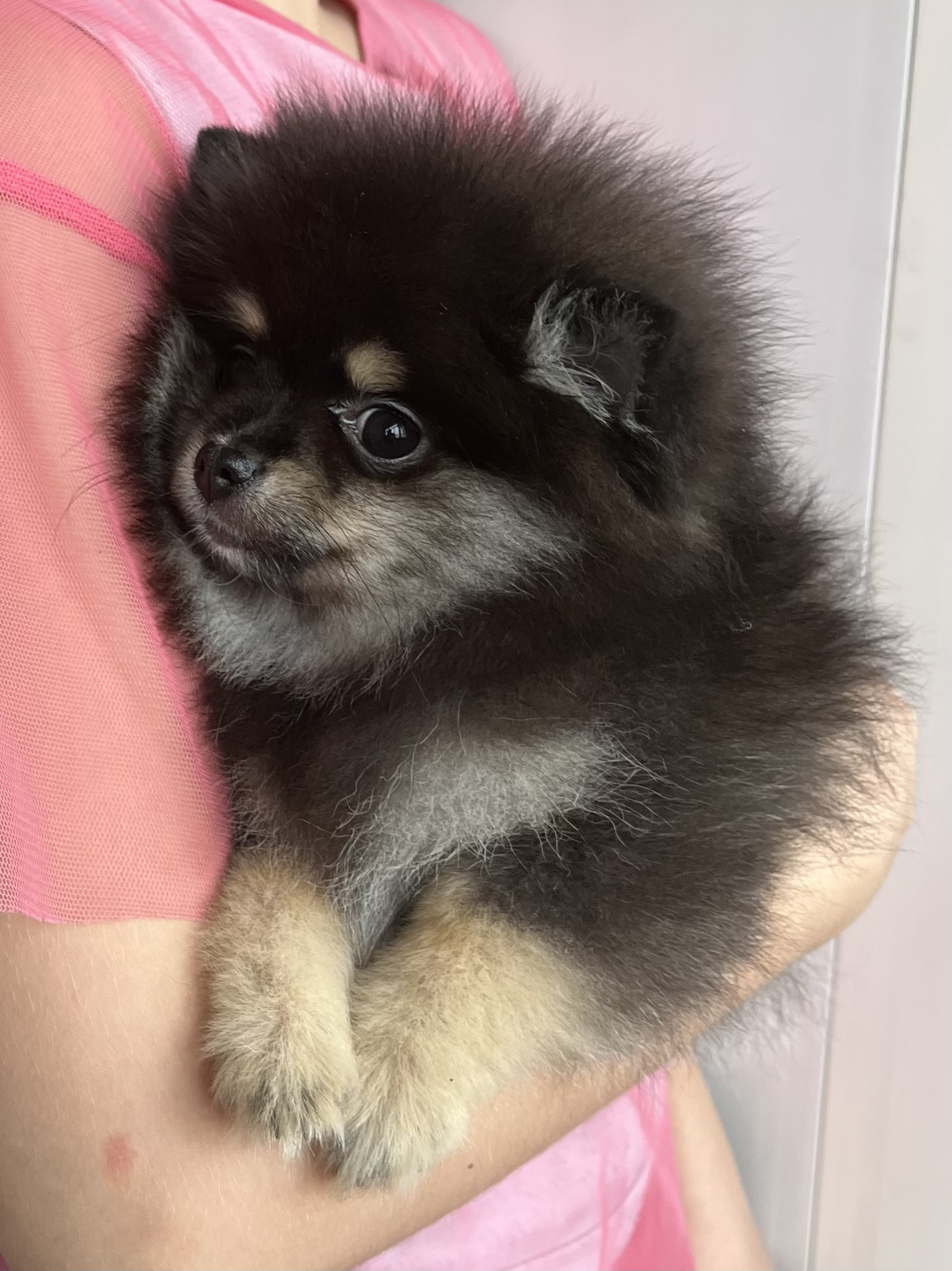 A7C4A2FC-E8D0-456A-AE29-37BF823A5684