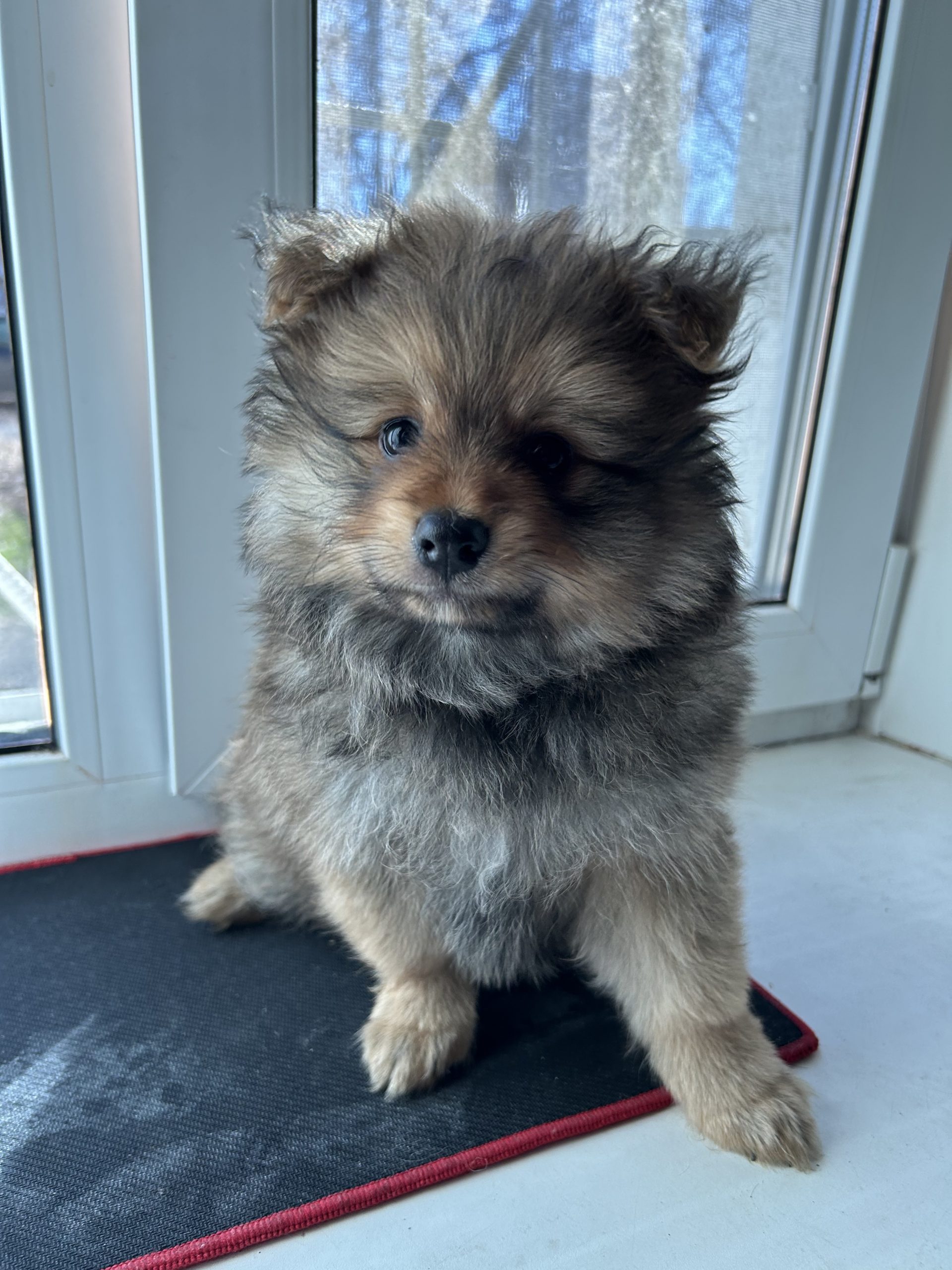 AF92C78E-7997-4B8C-906C-D8DAC8586AFE