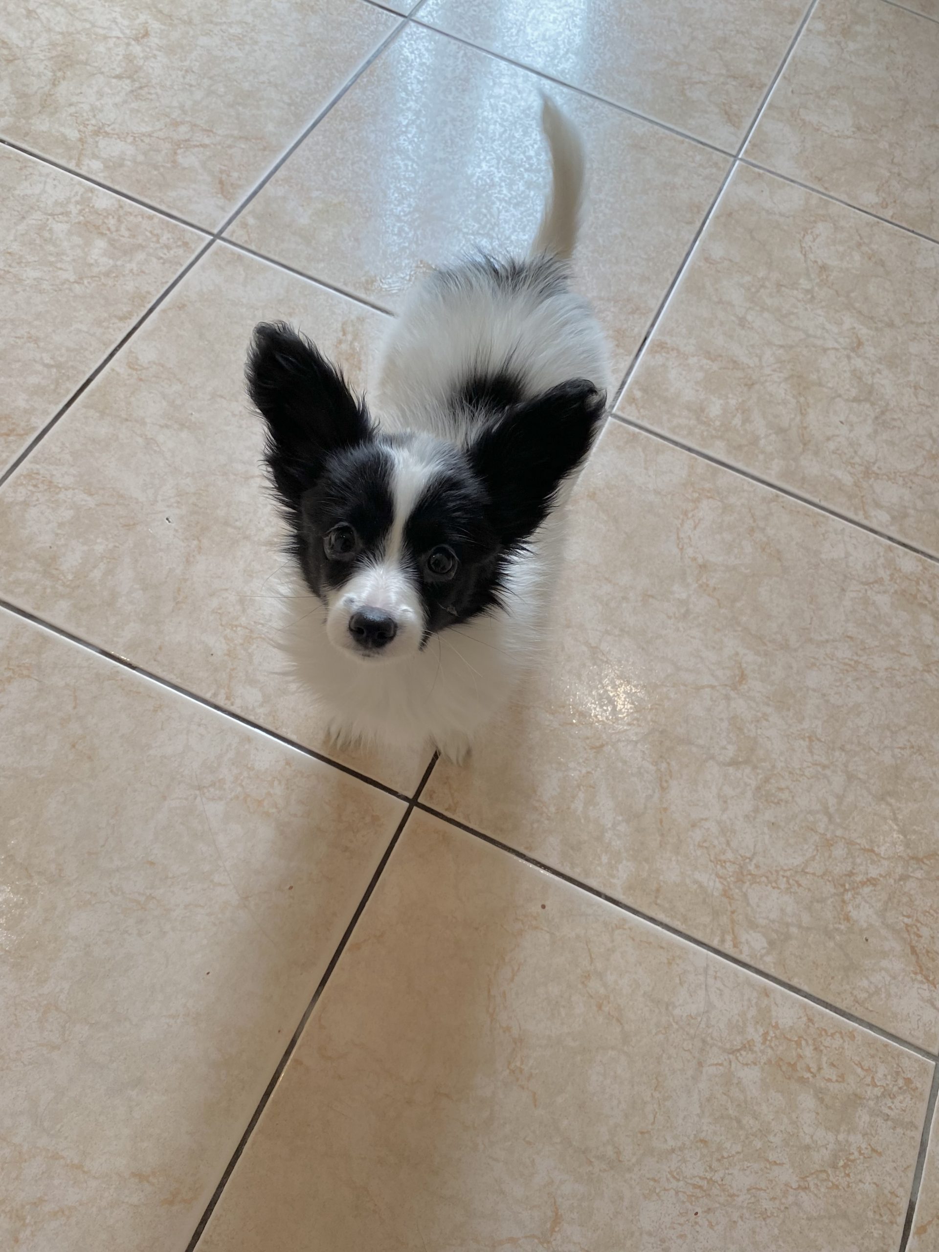 BAE52EDC-EEEA-4AE0-BE02-43AF13715547