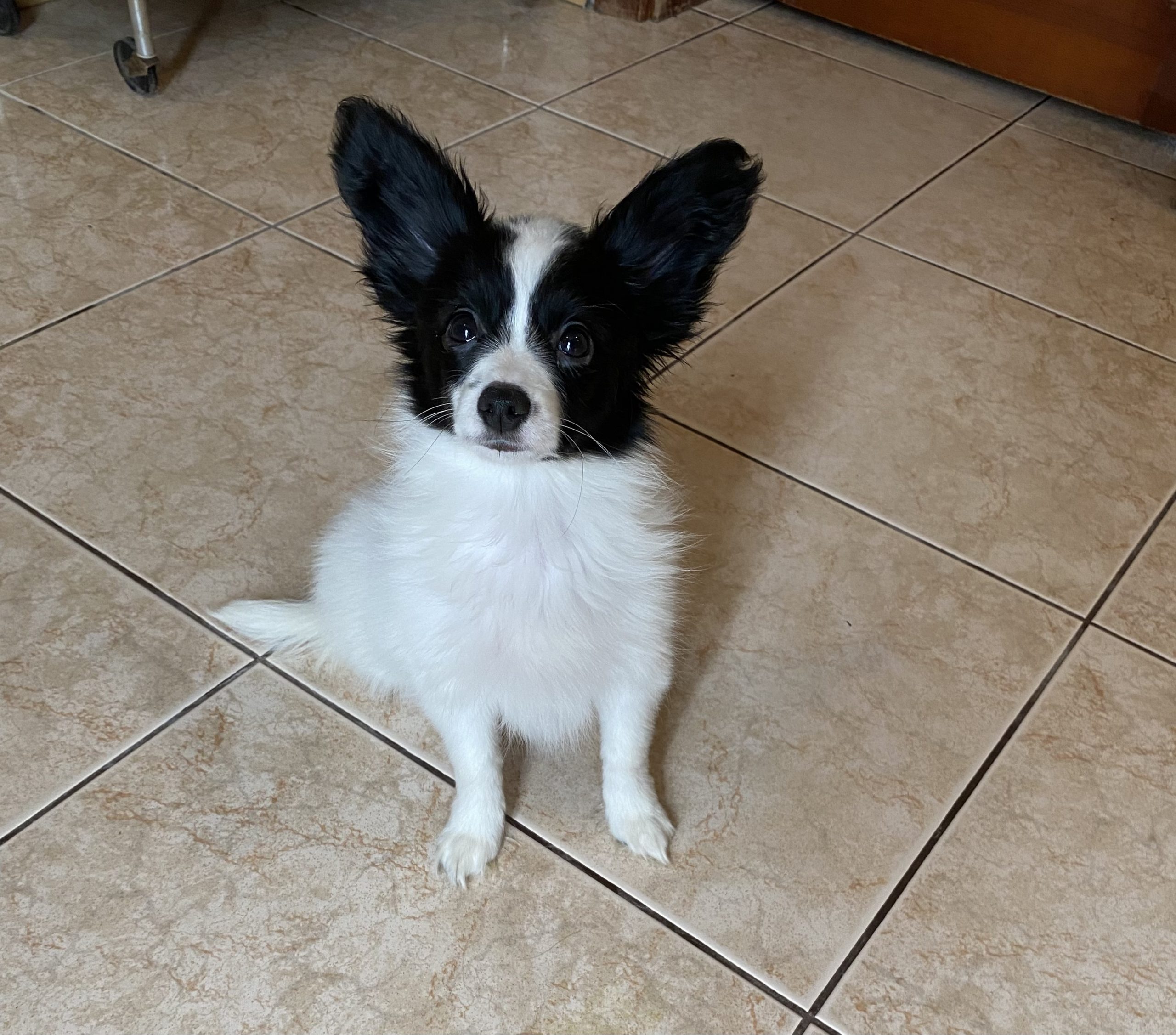 D479675F-E4A0-45B7-AC7A-ECC69E207E05