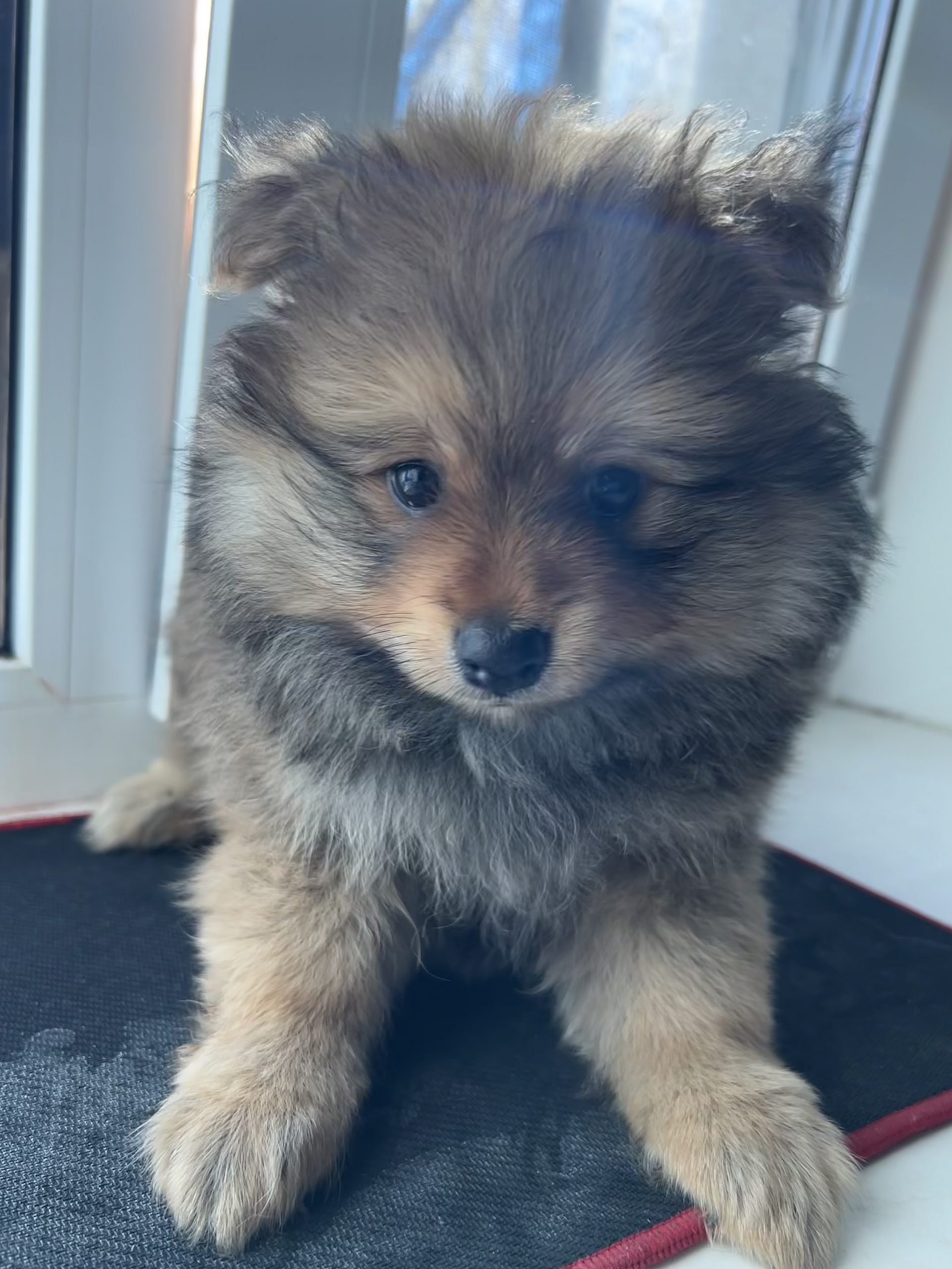 D75640AA-DAB2-436B-8BA6-C8B03C4CD0D3