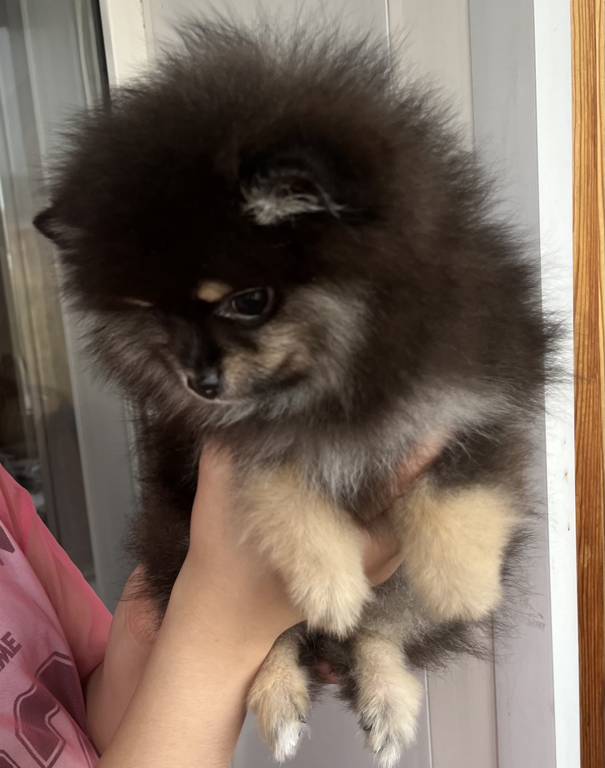 DAD4F96B-B17E-4734-900C-614EA587557D