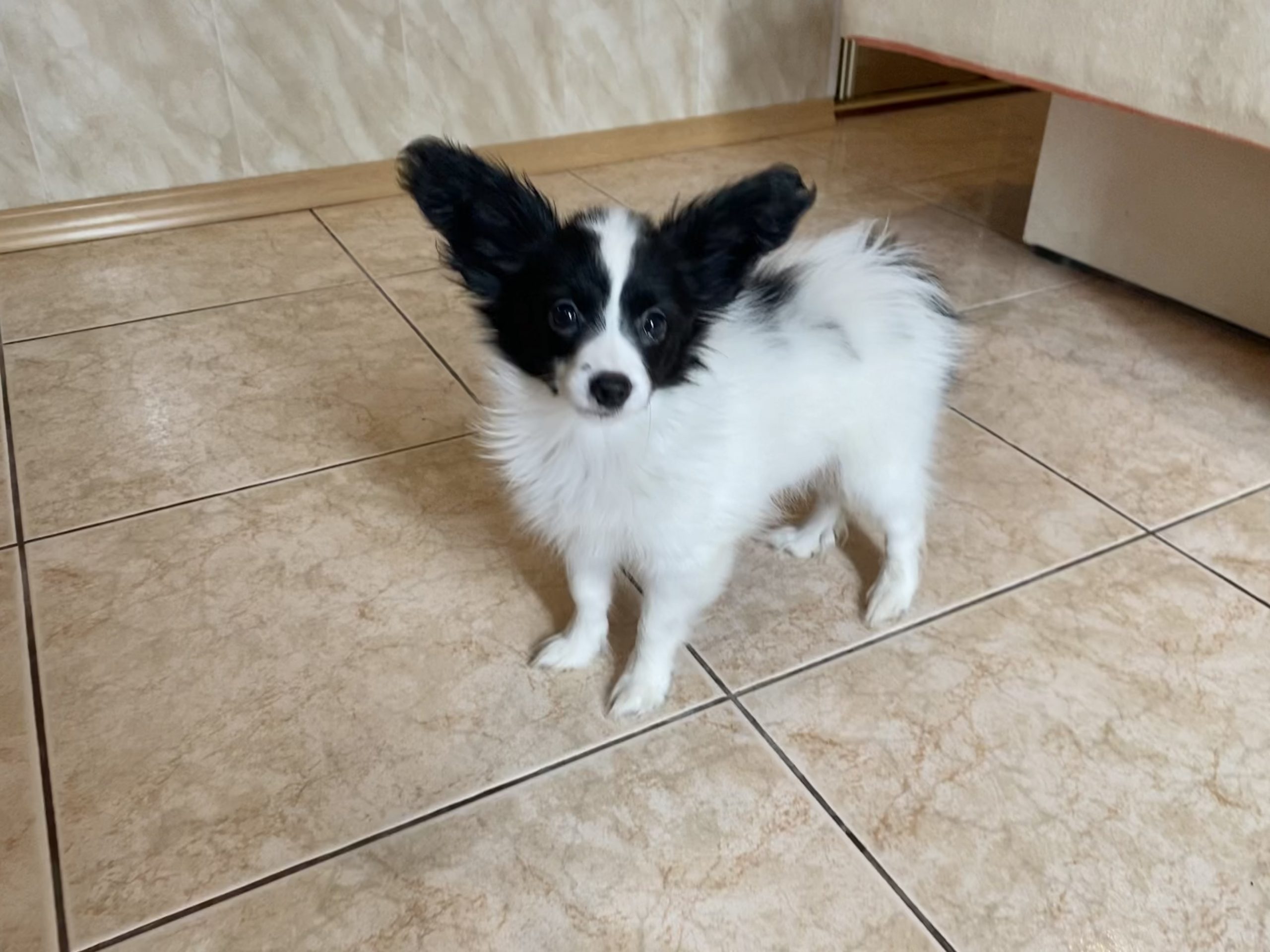 E70F12BE-9C2A-4F5E-9C9F-7736DA3044BD