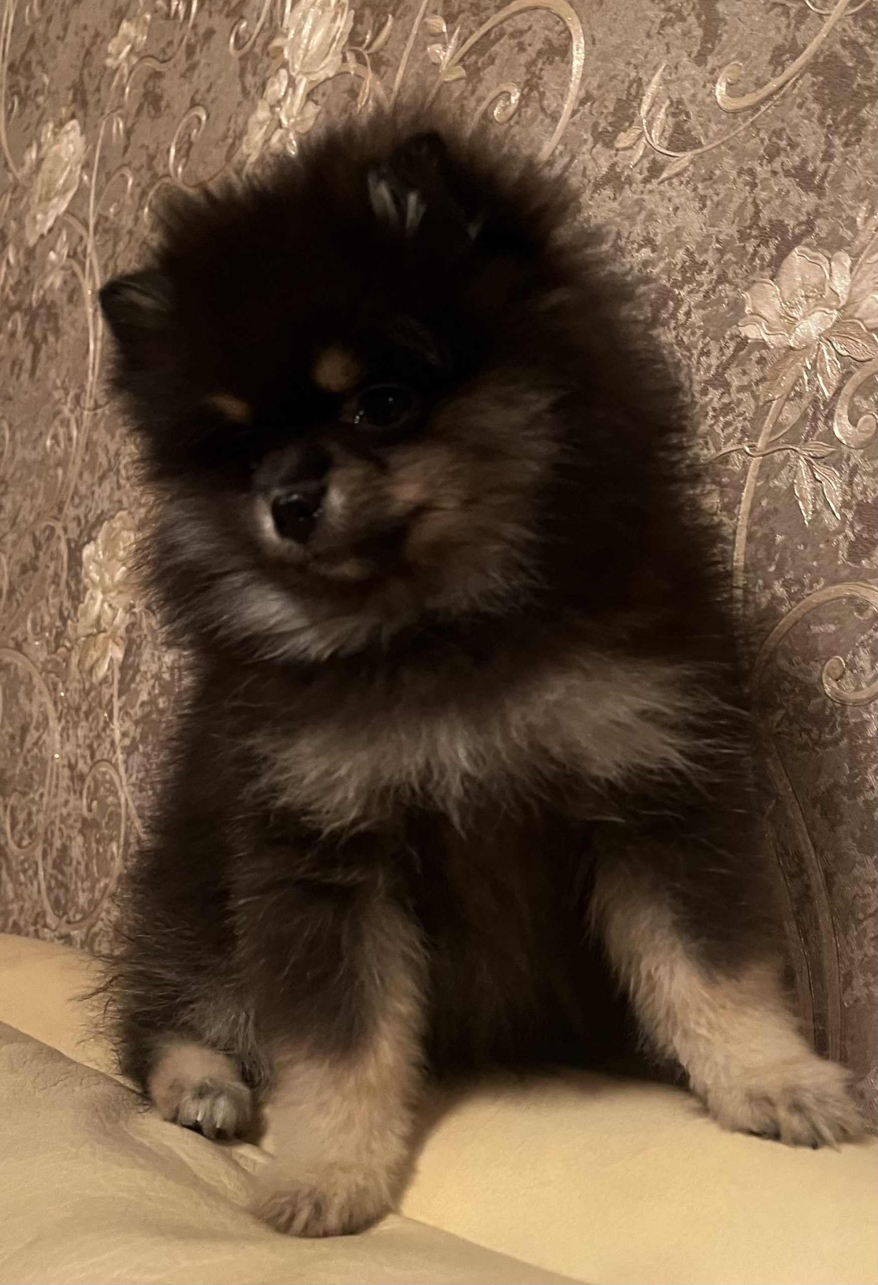 F483C1AC-4396-43CE-B02B-F1ED2C4665F8